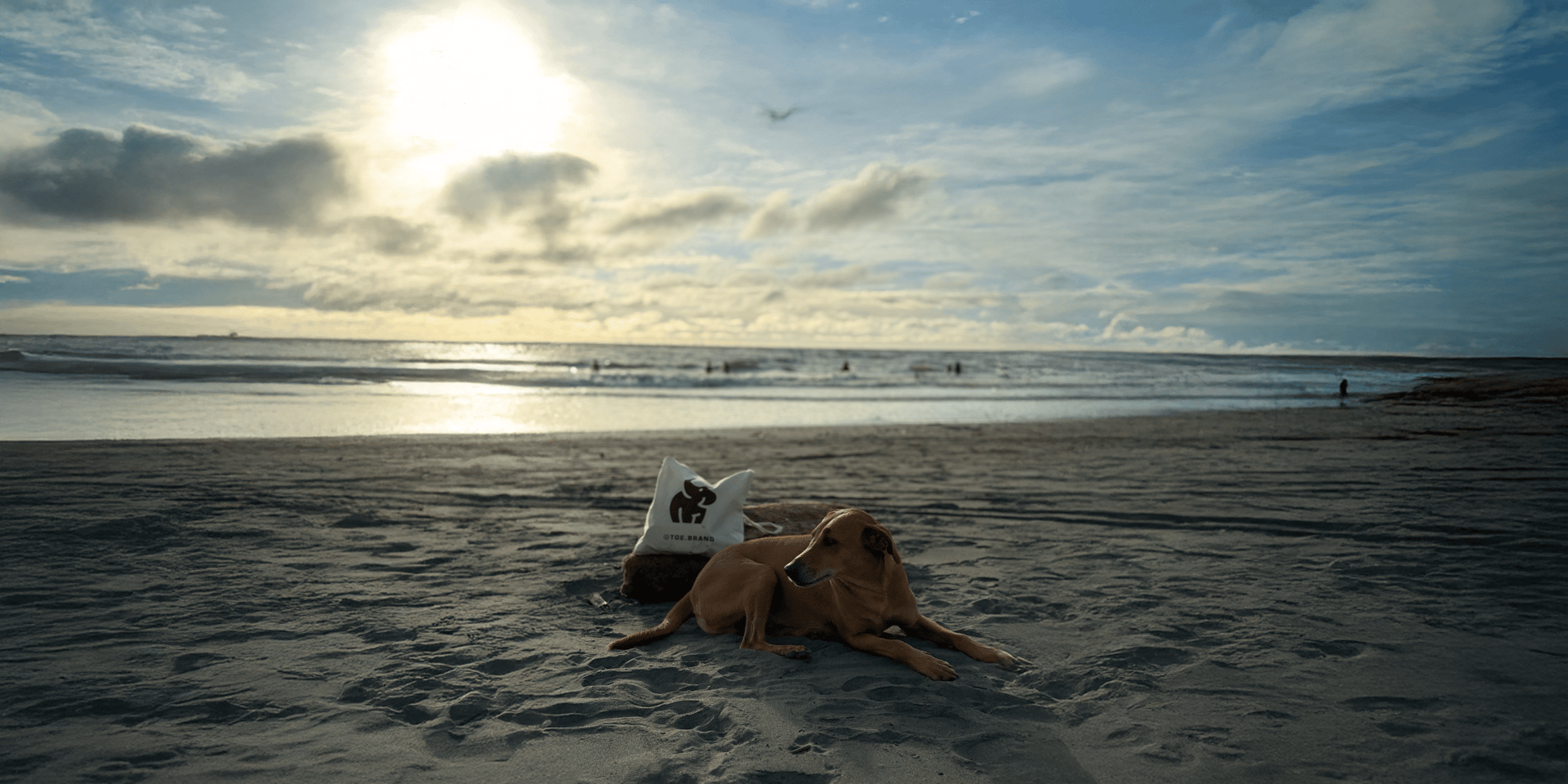a close up of a black and brown abstract painting