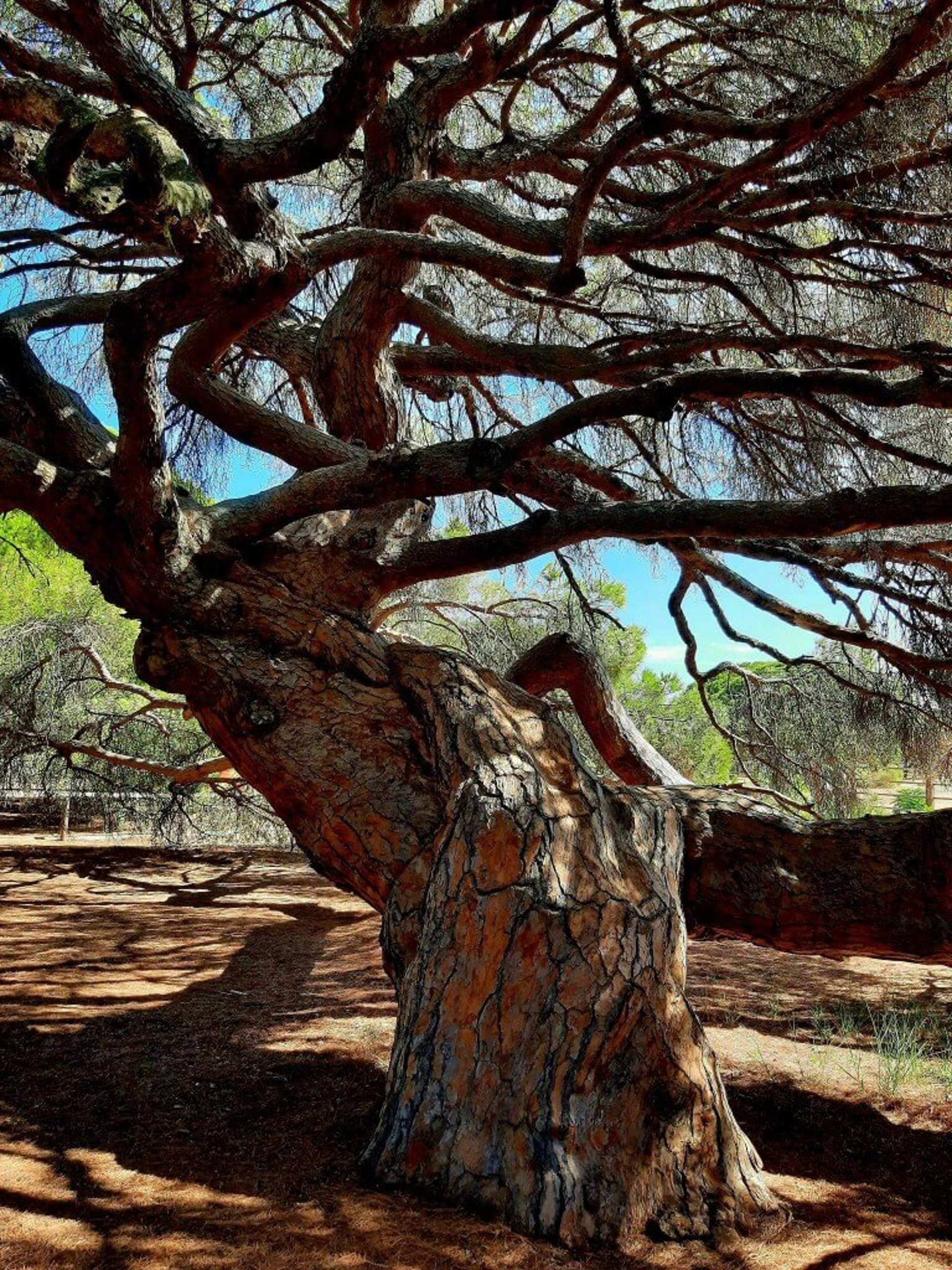 an abstract photo of a curved building with a blue sky in the background