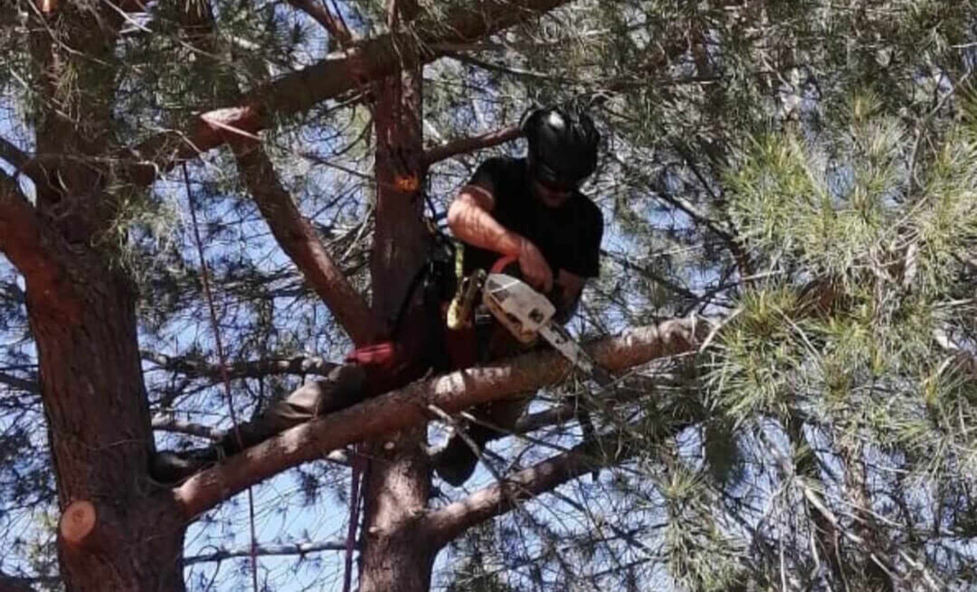 an abstract photo of a curved building with a blue sky in the background