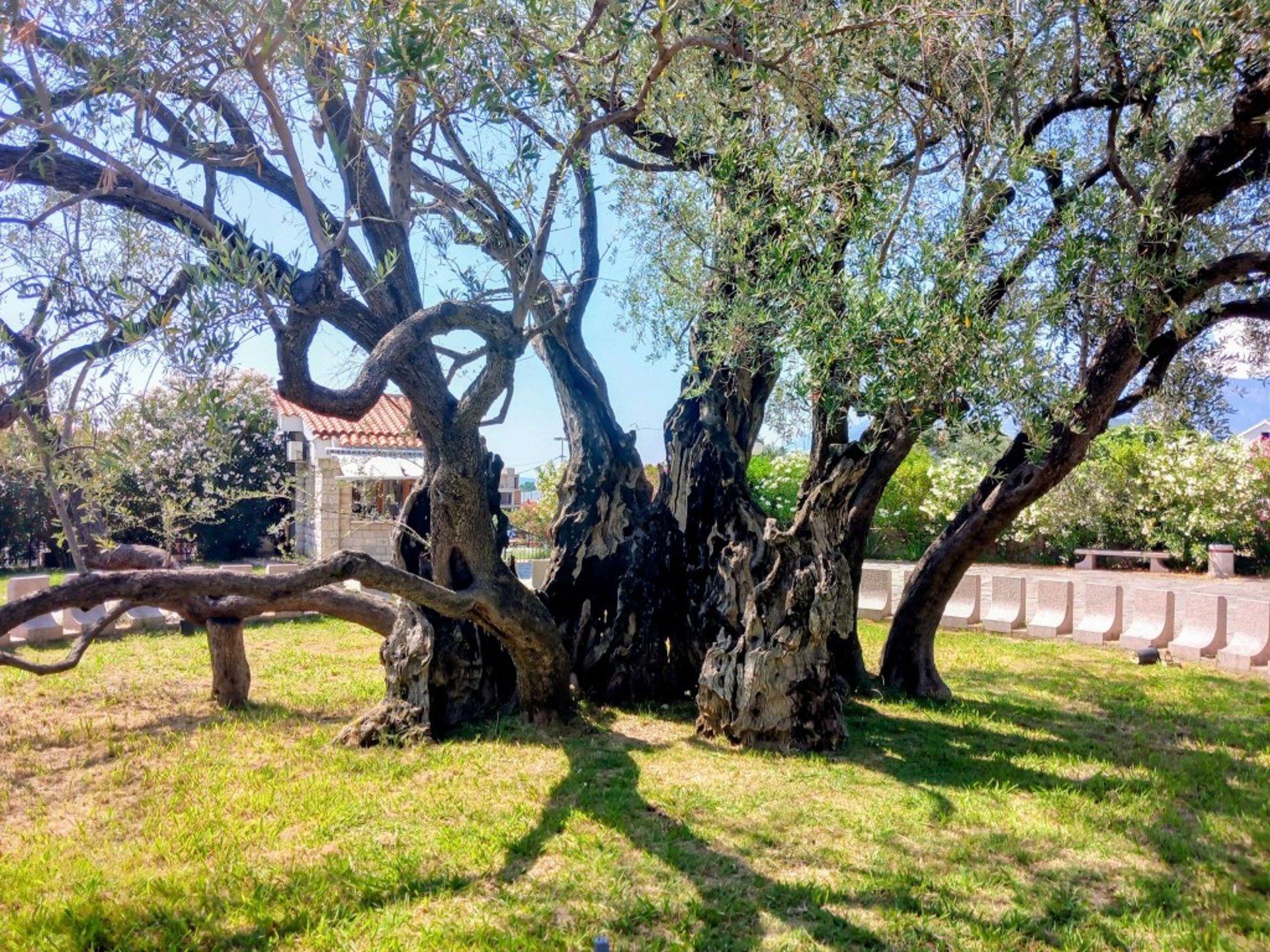 an abstract photo of a curved building with a blue sky in the background