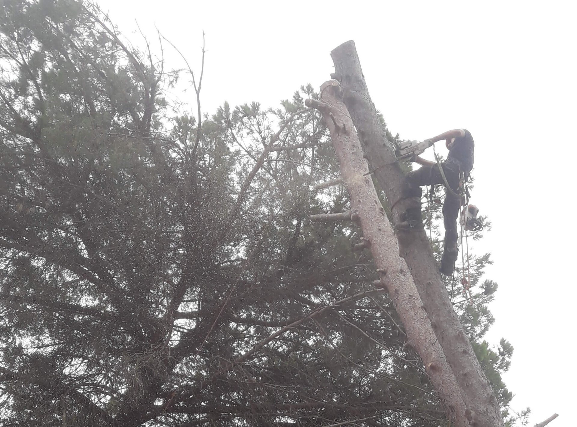 an abstract photo of a curved building with a blue sky in the background
