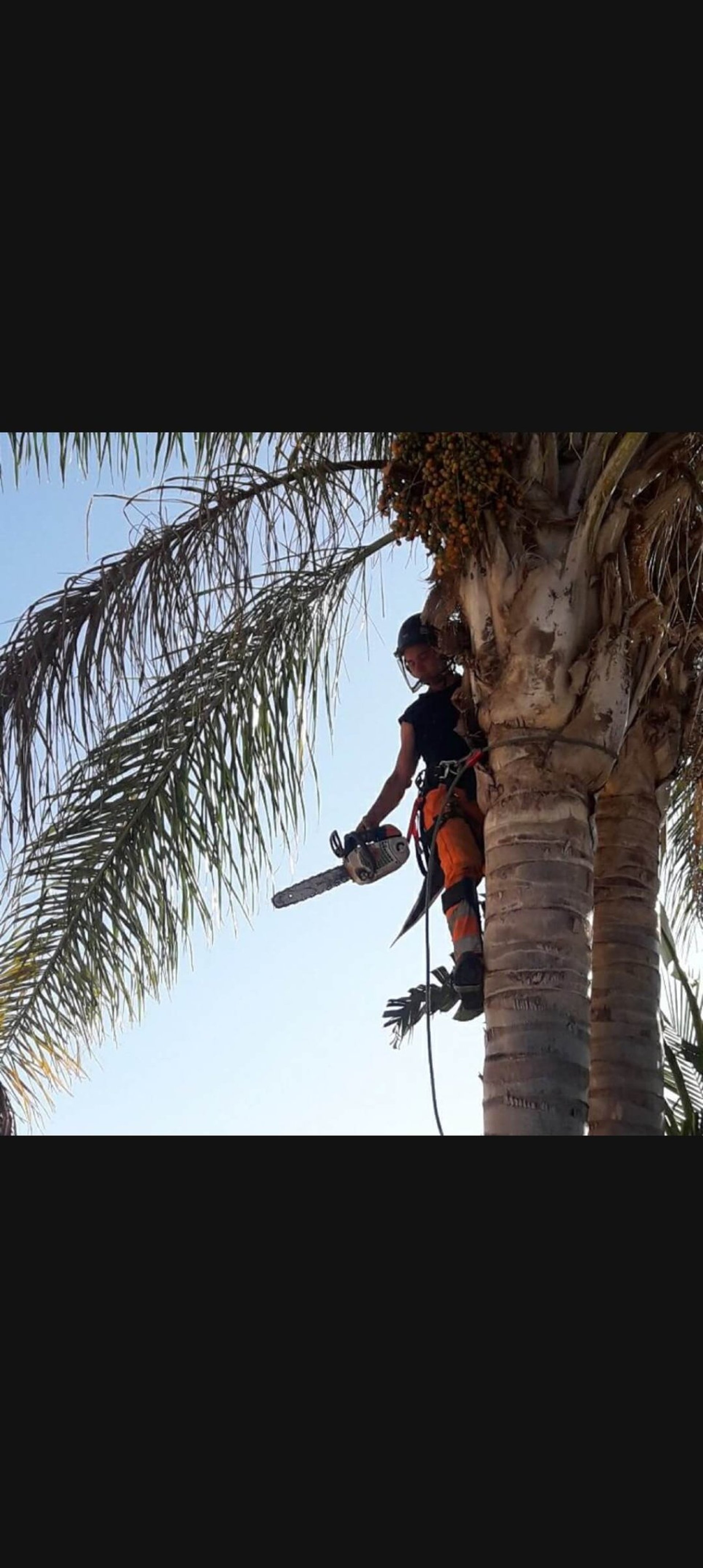 an abstract photo of a curved building with a blue sky in the background