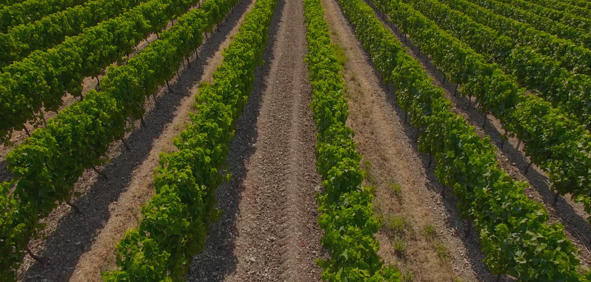 an abstract photo of a curved building with a blue sky in the background