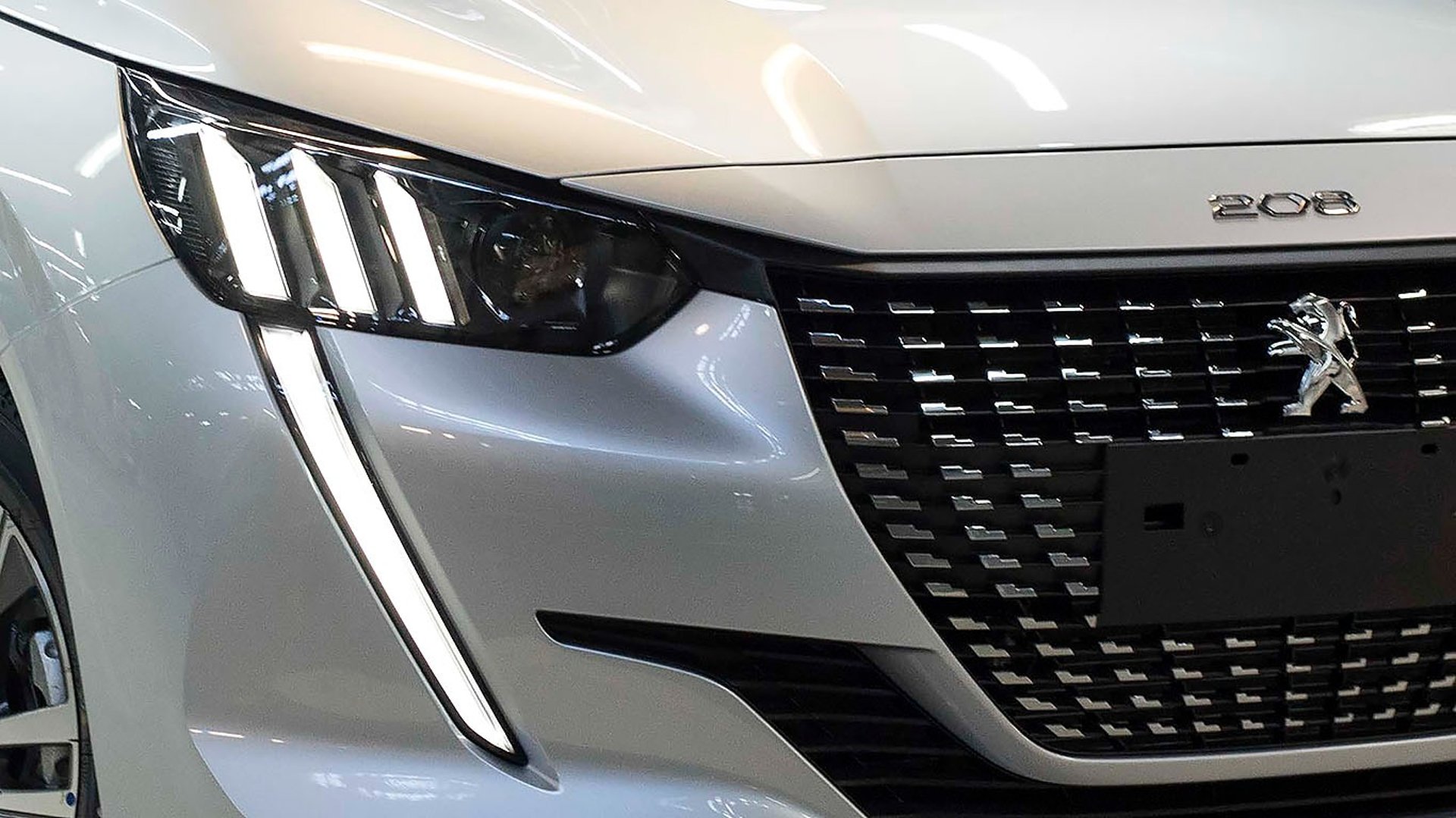 woman holding dried flower