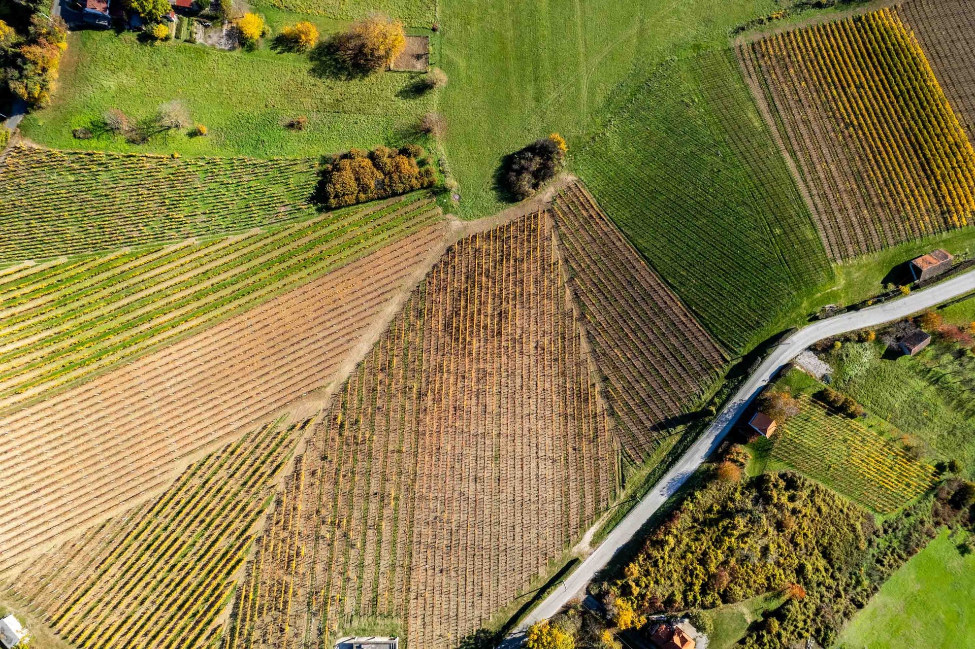 black blue and yellow textile