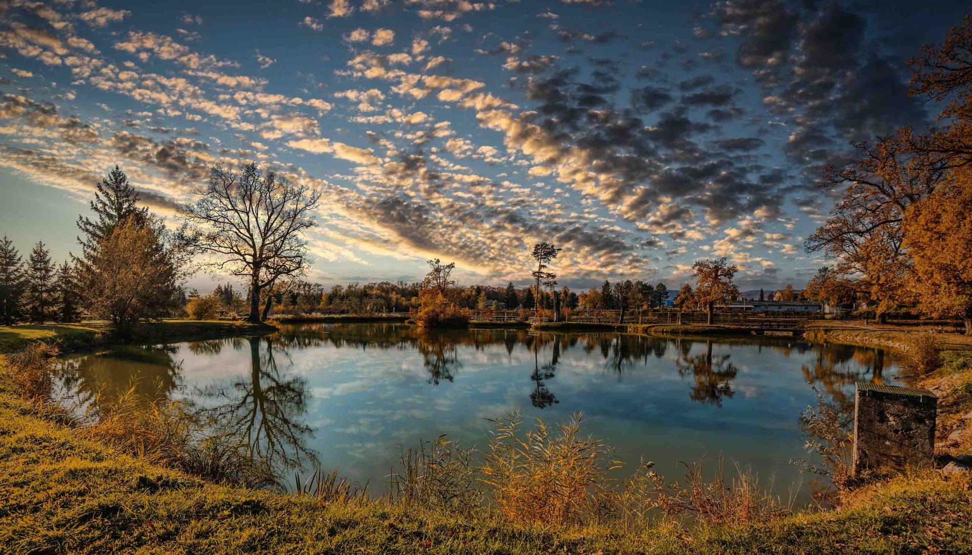 an abstract photo of a curved building with a blue sky in the background