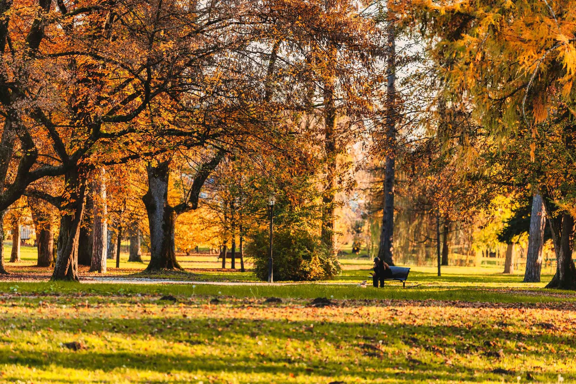 an abstract photo of a curved building with a blue sky in the background