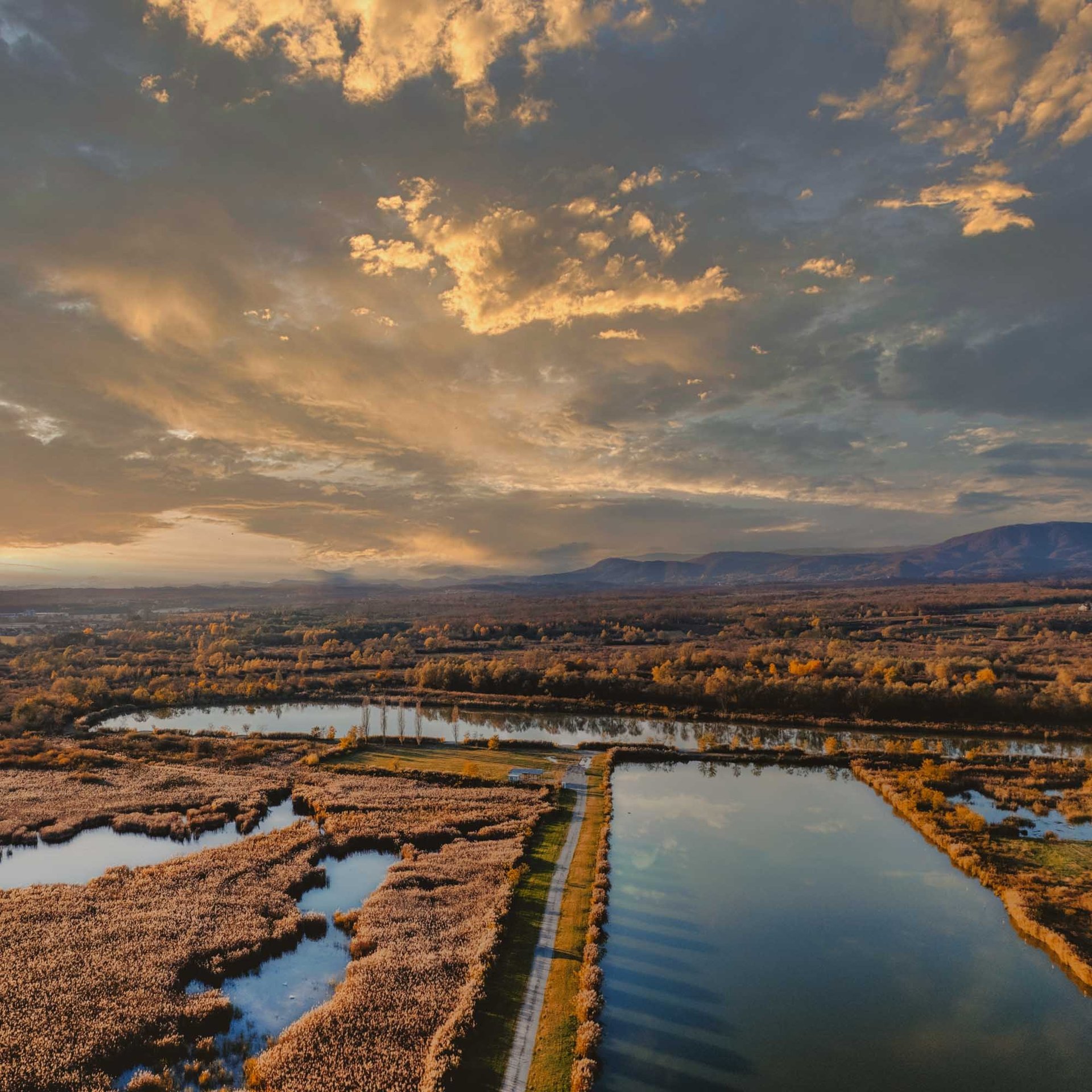 an abstract photo of a curved building with a blue sky in the background