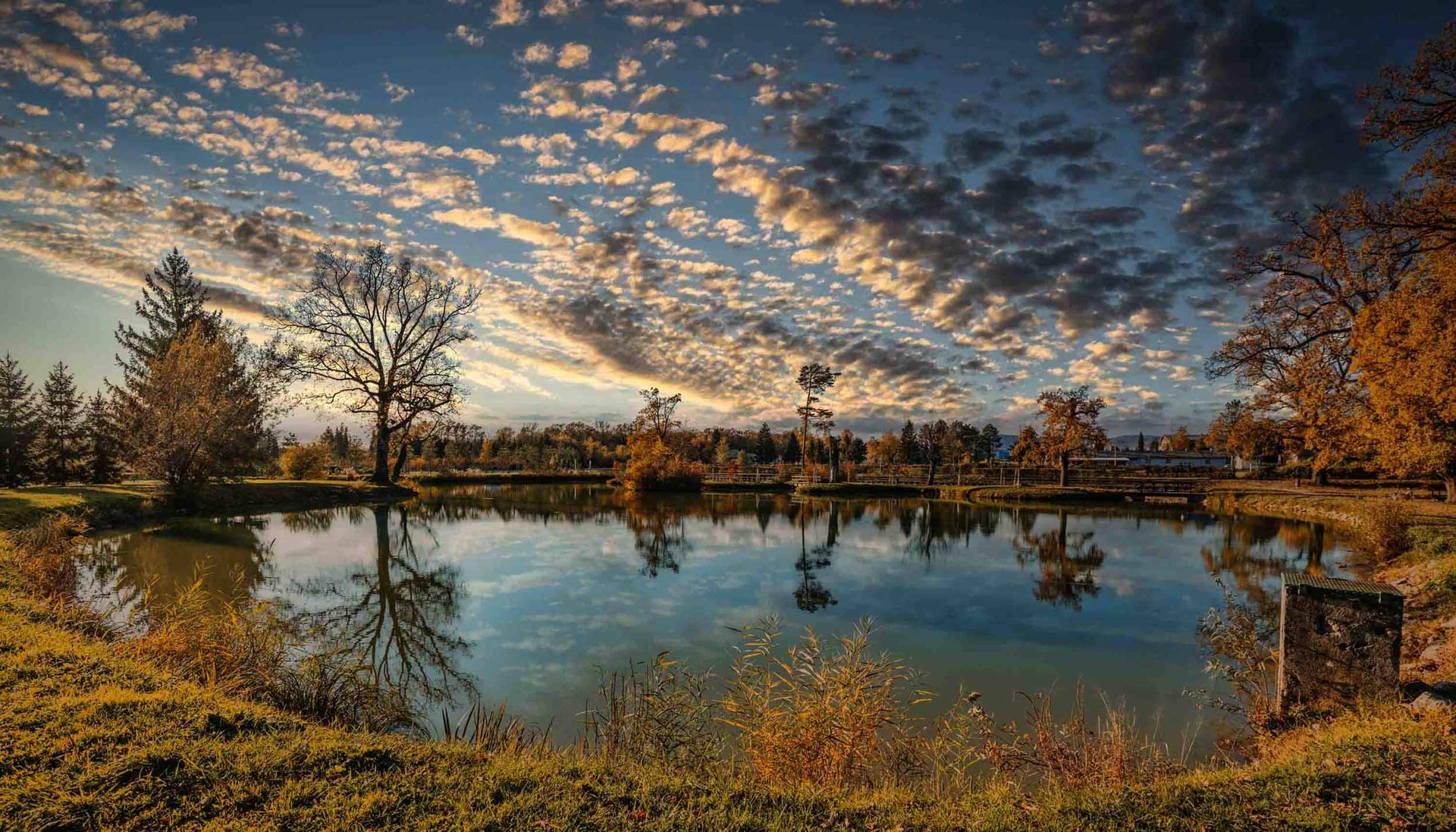 an abstract photo of a curved building with a blue sky in the background