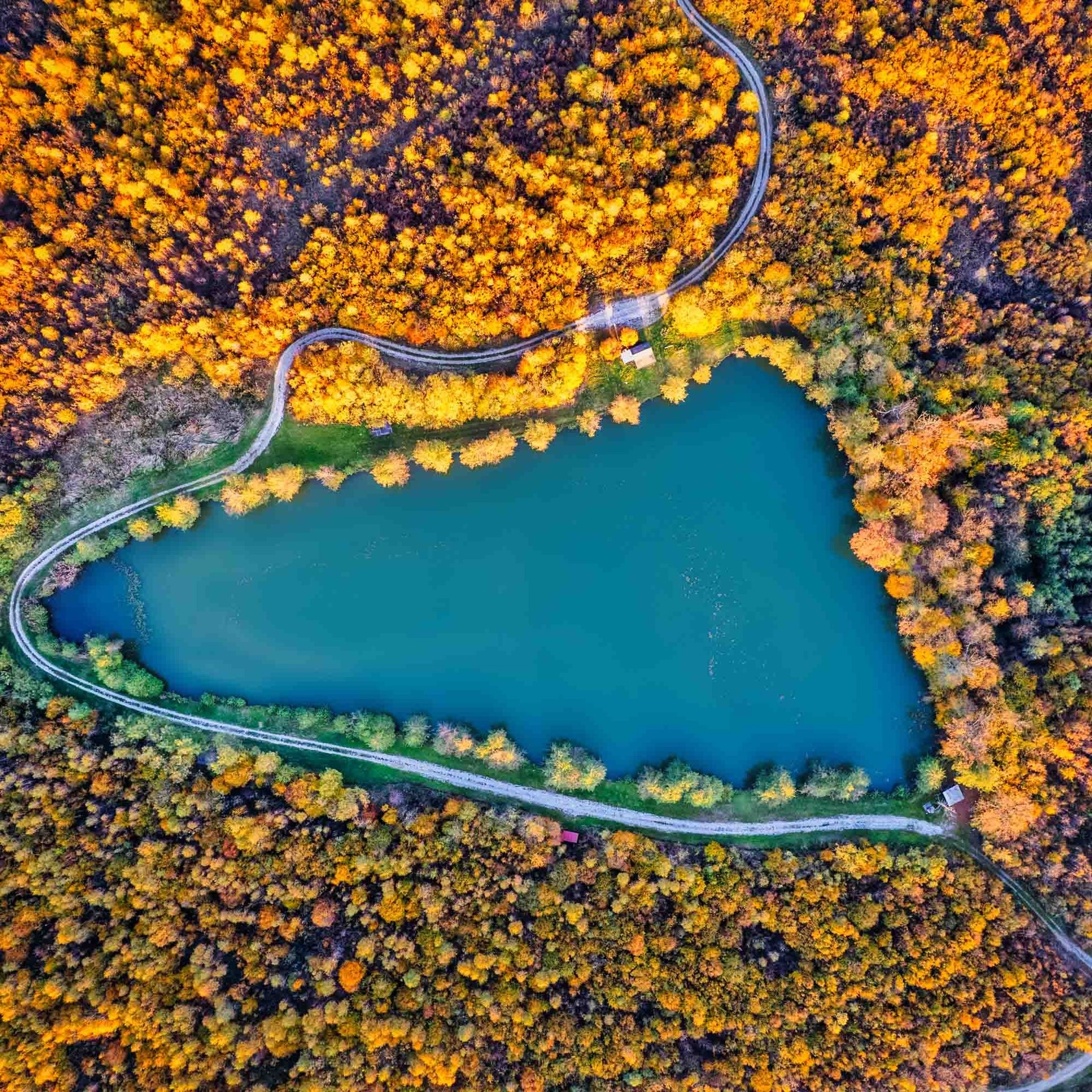 an abstract photo of a curved building with a blue sky in the background