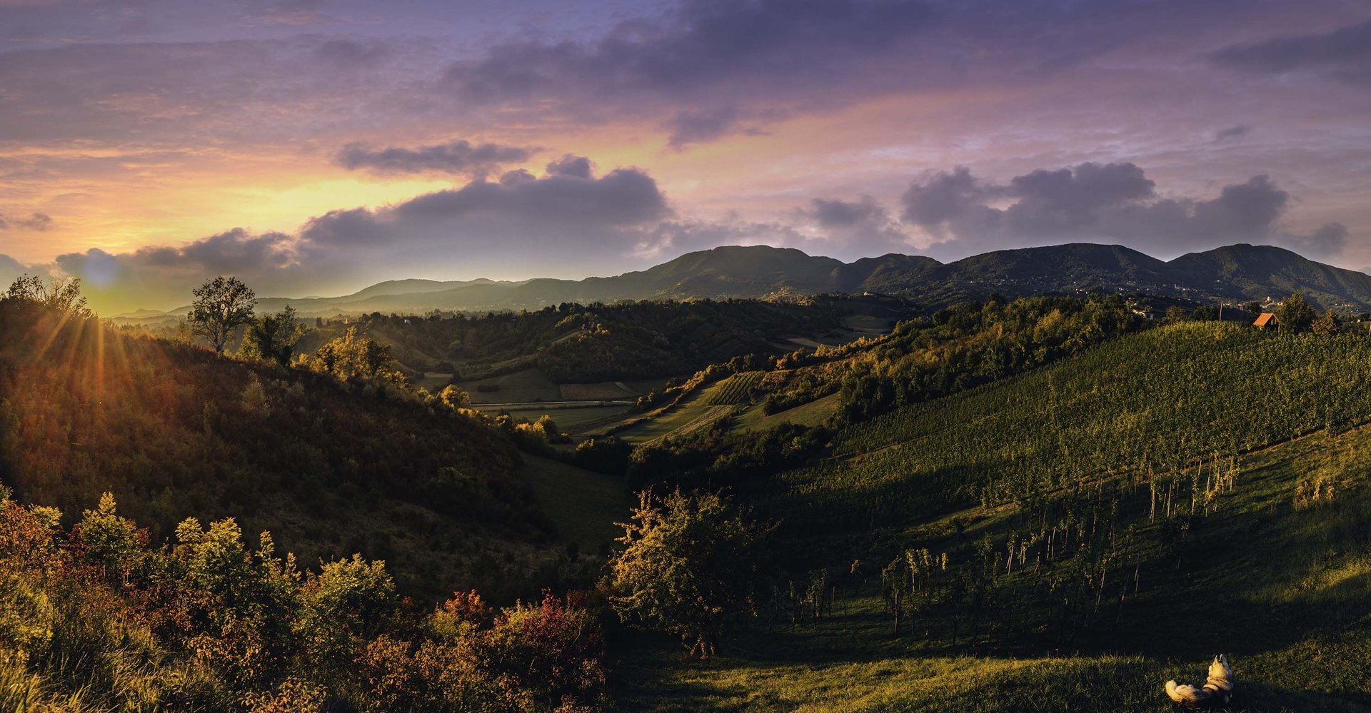 an abstract photo of a curved building with a blue sky in the background