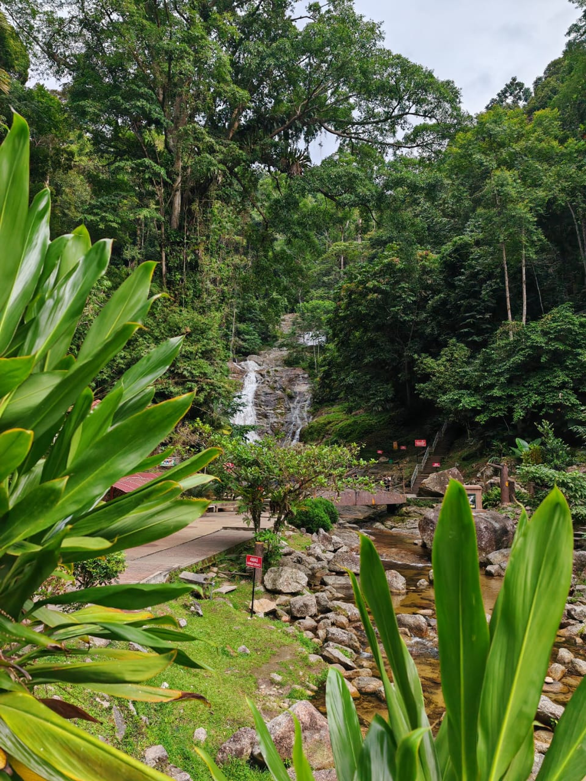 gray computer monitor