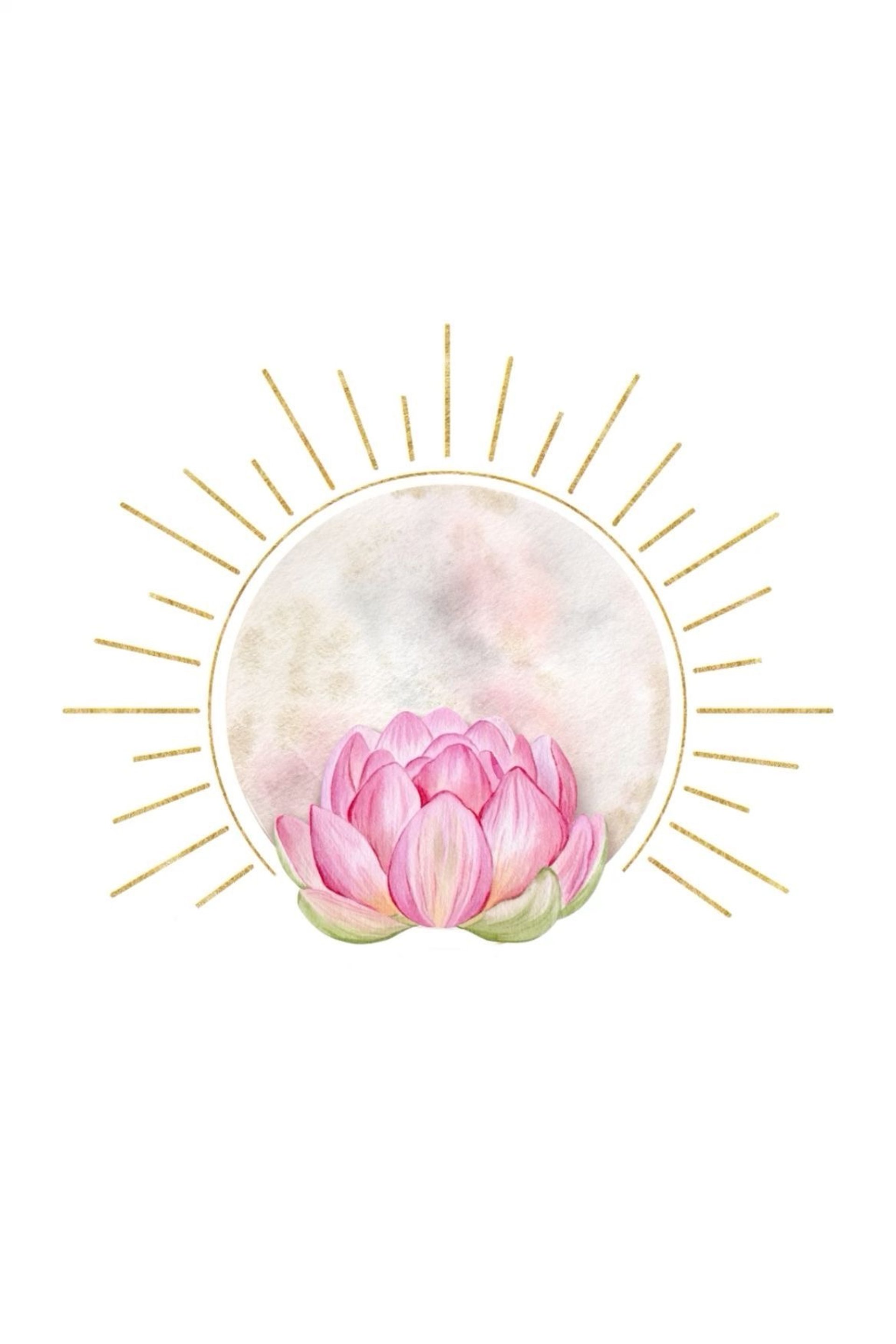 close up photo of water lily flower