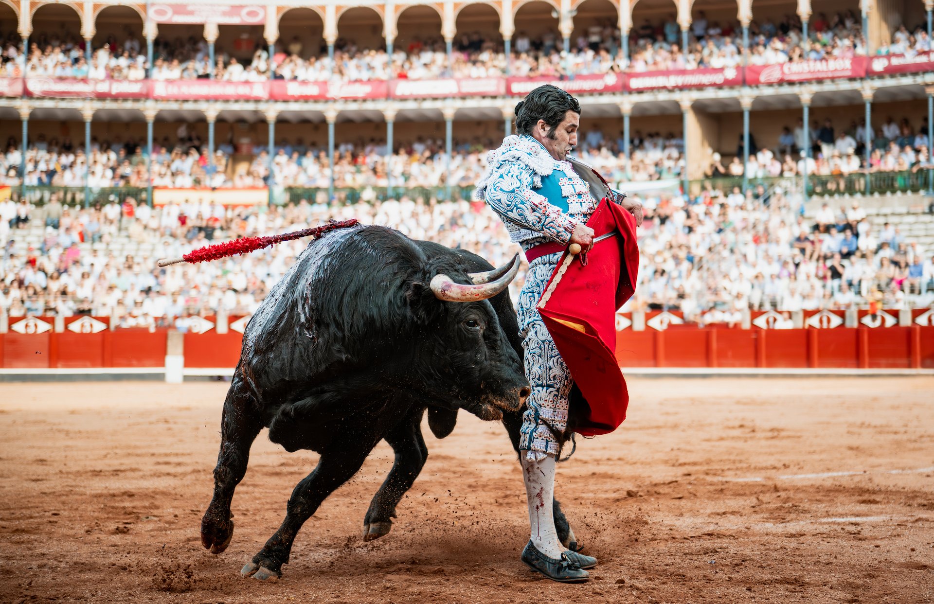 woman holding dried flower