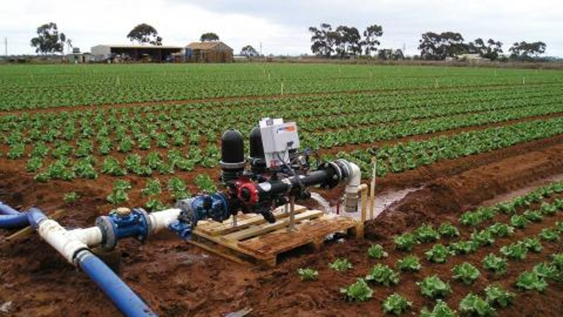gray computer monitor