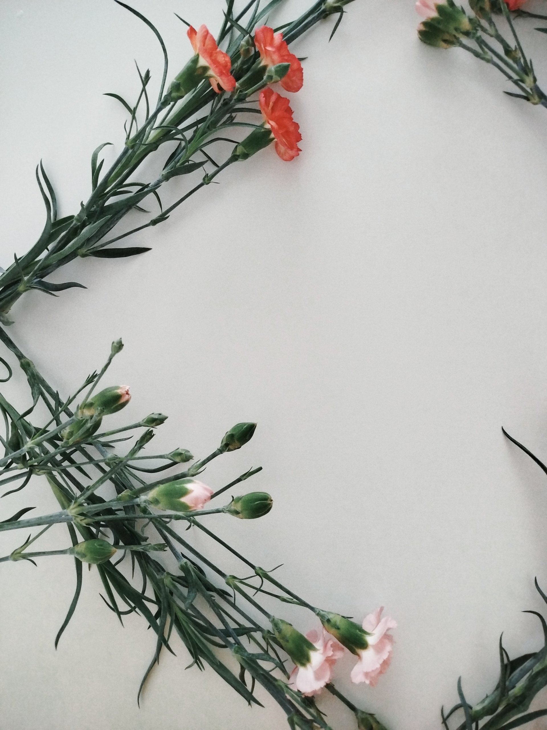close up photography of round red fruit