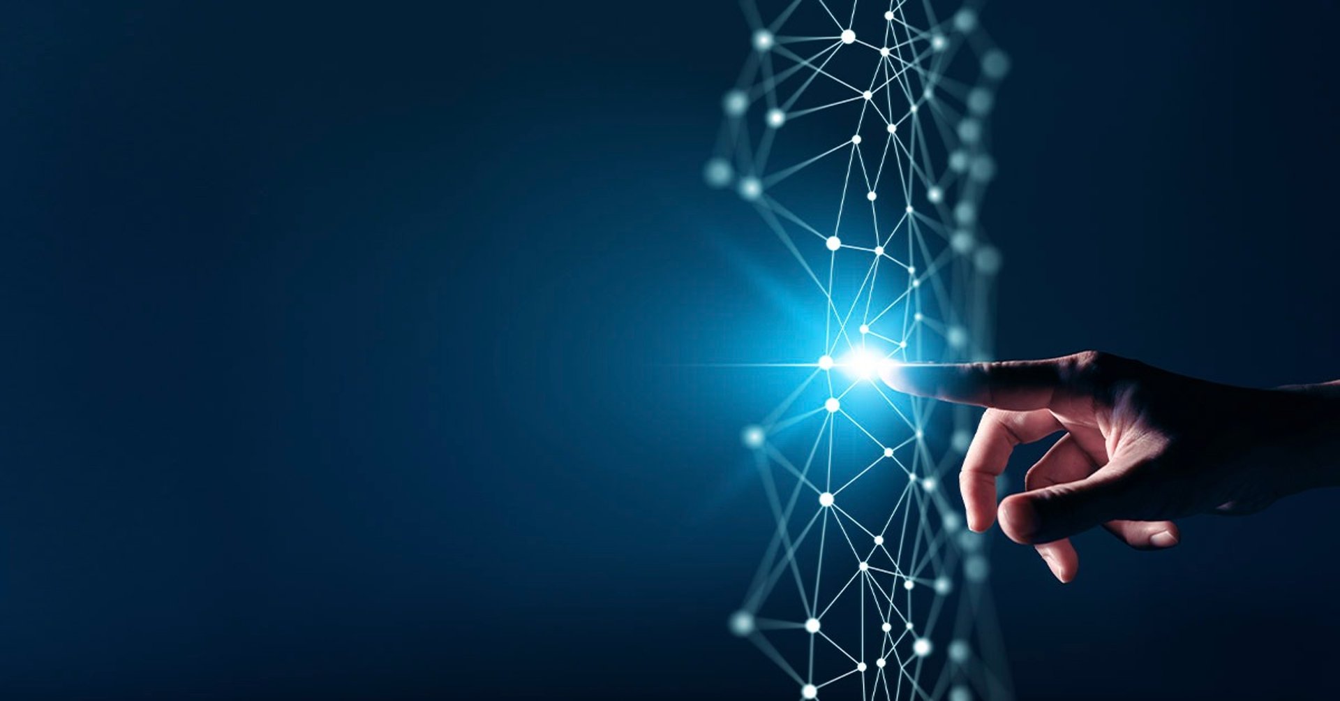 photo of bulb artwork