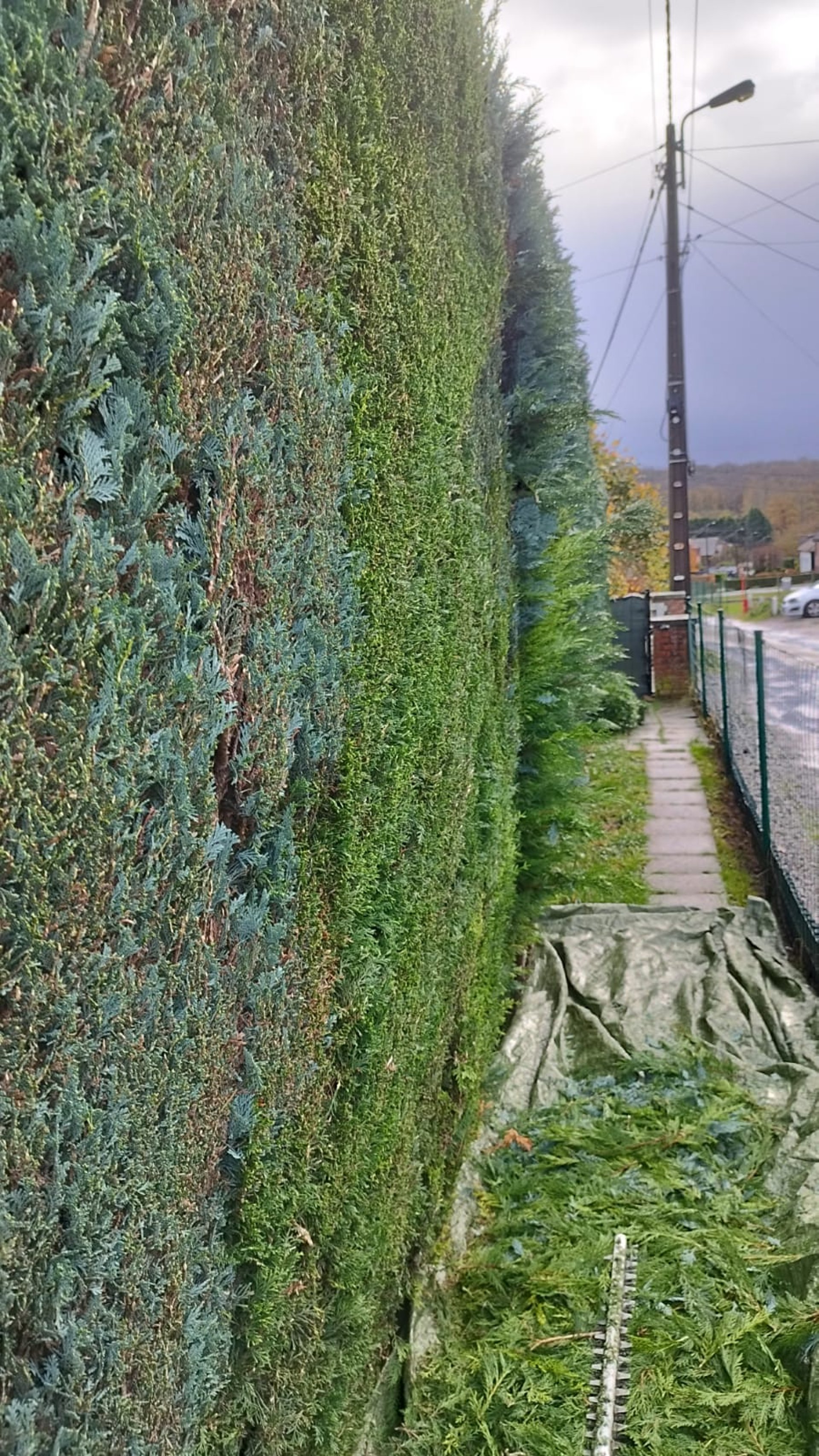 an abstract photo of a curved building with a blue sky in the background