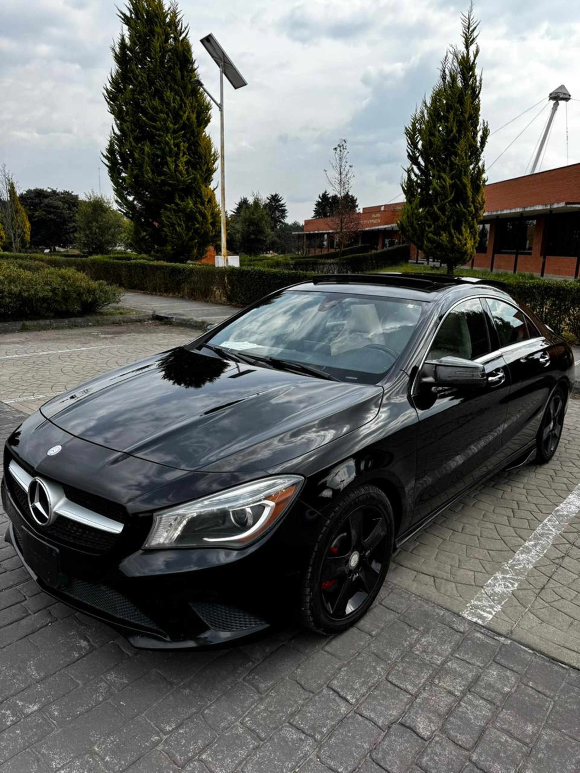 woman holding dried flower