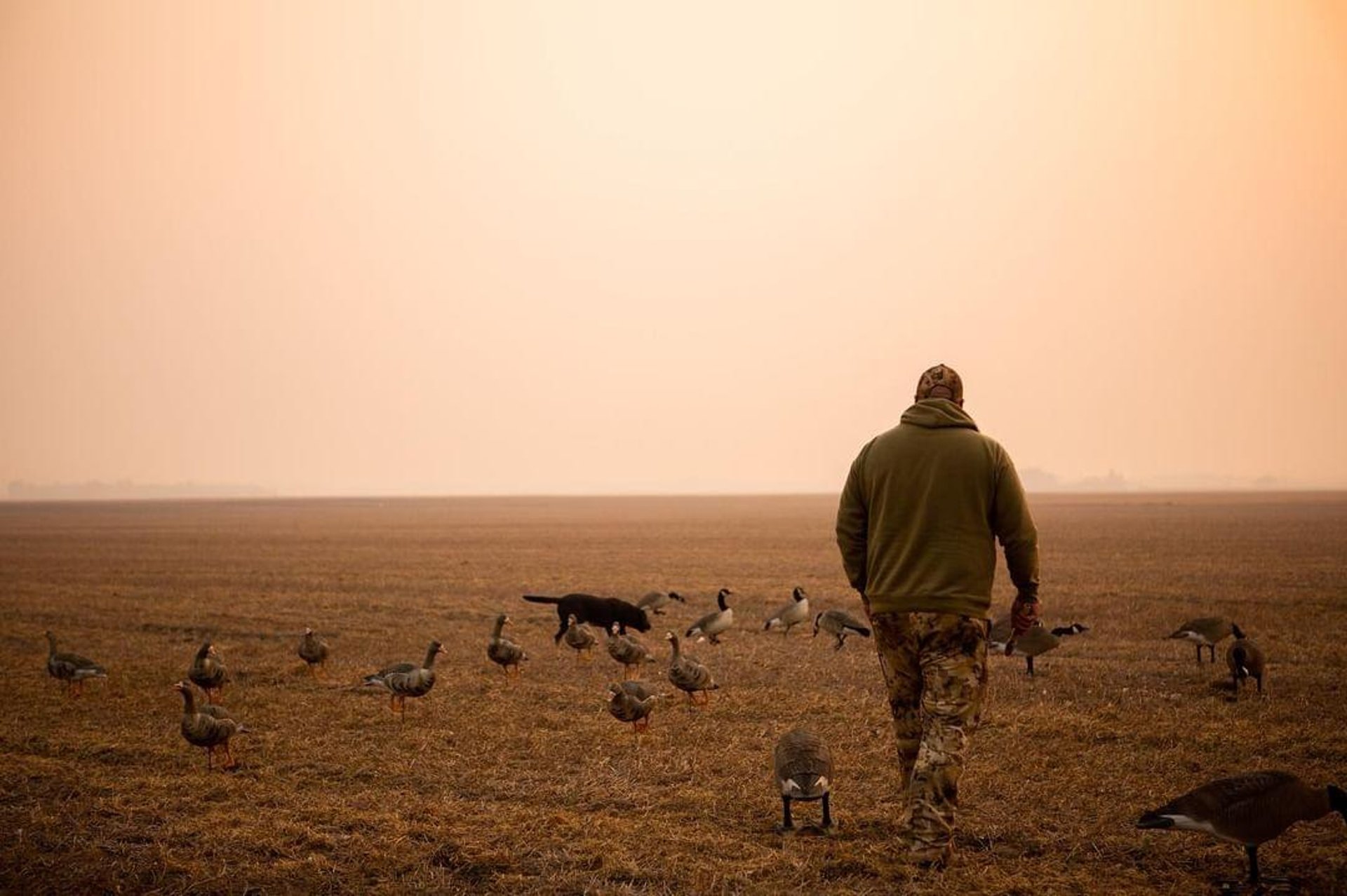 woman wearing yellow long-sleeved dress under white clouds and blue sky during daytime