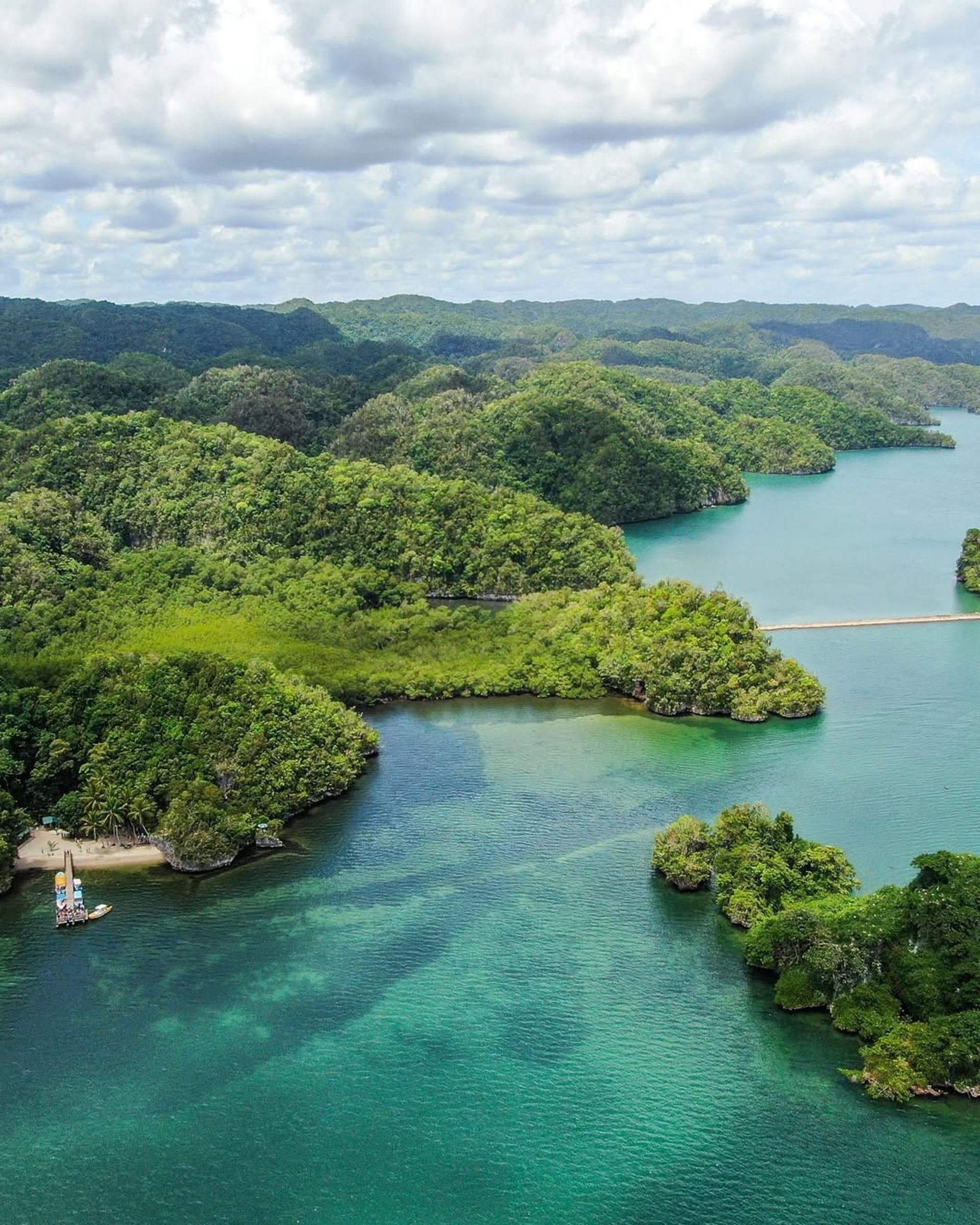 black and white bed linen