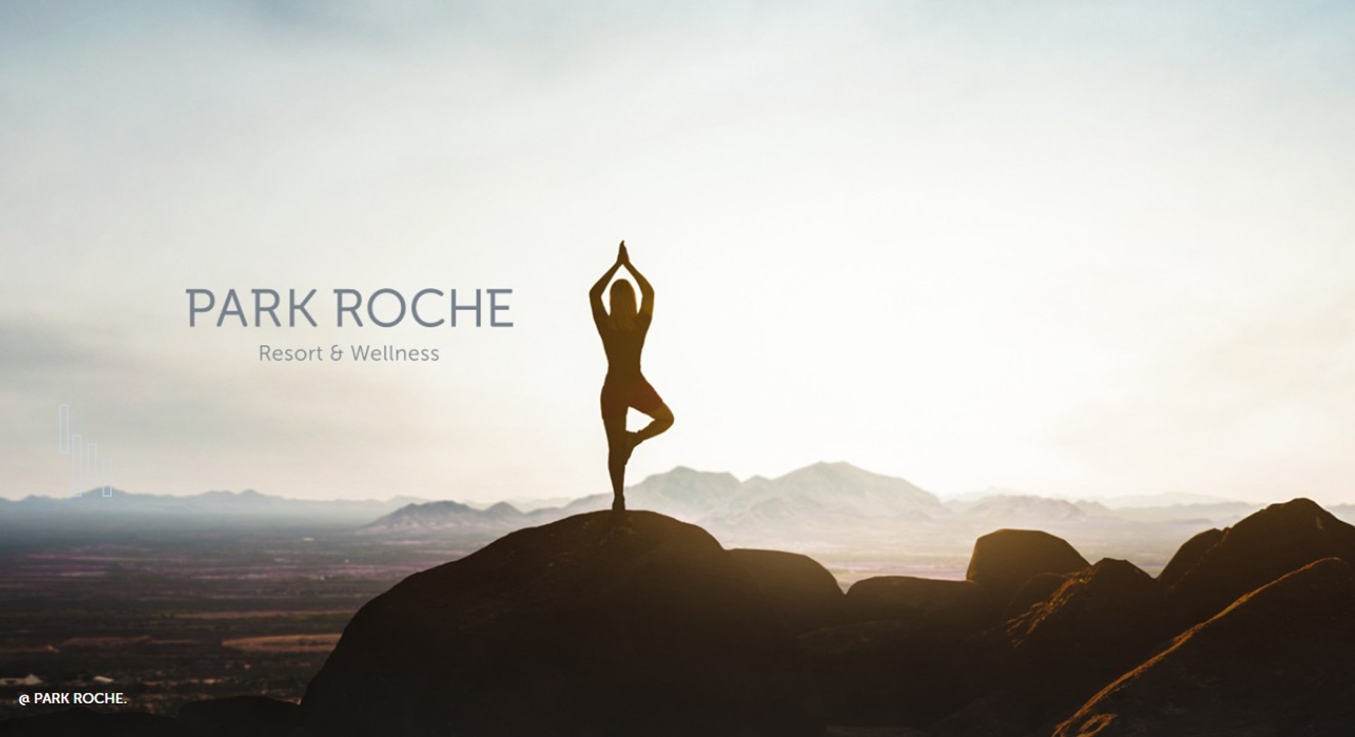 black and brown leather padded tub sofa