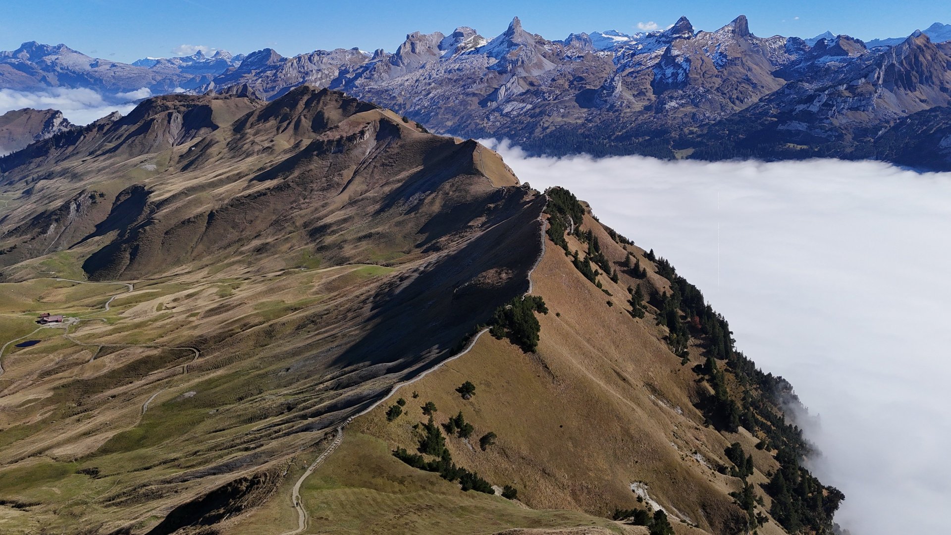 black and white bed linen