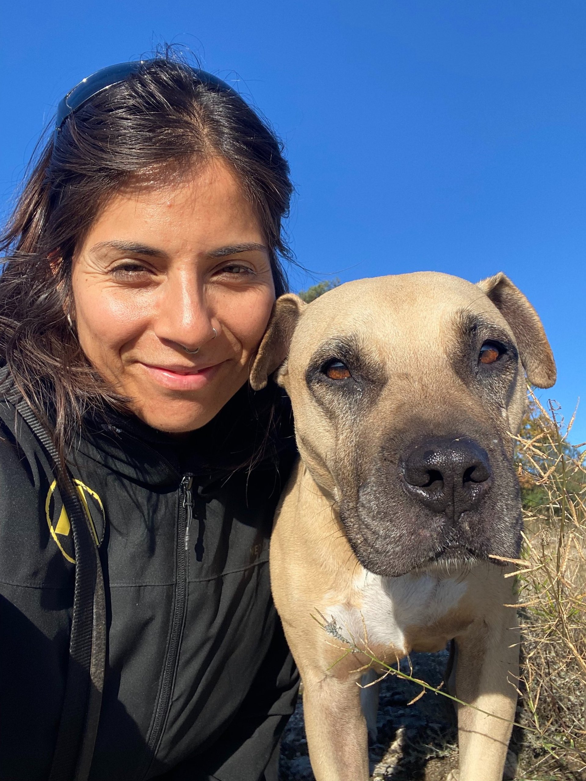 gray computer monitor