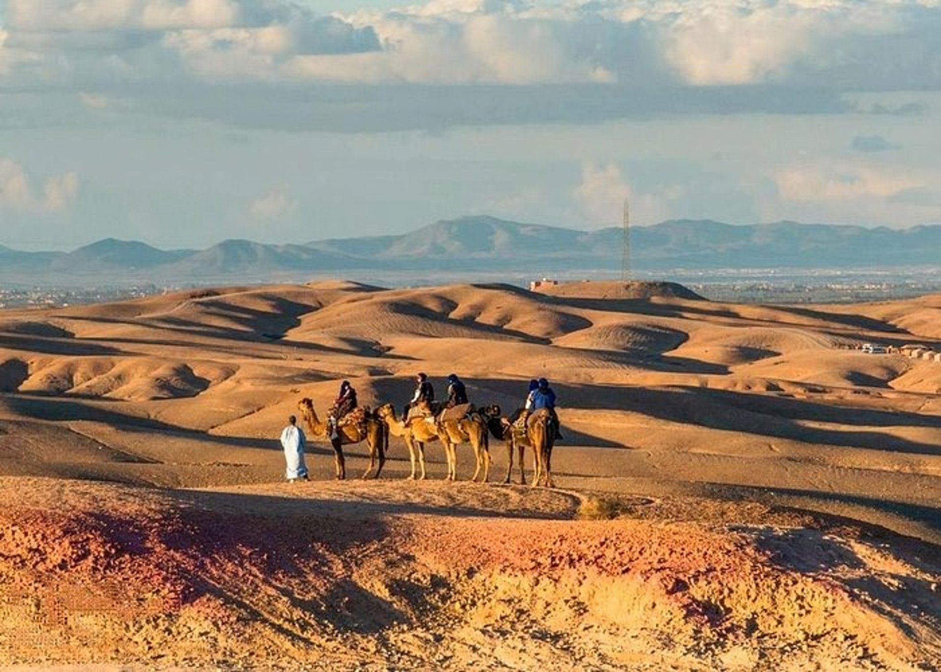 black and brown leather padded tub sofa