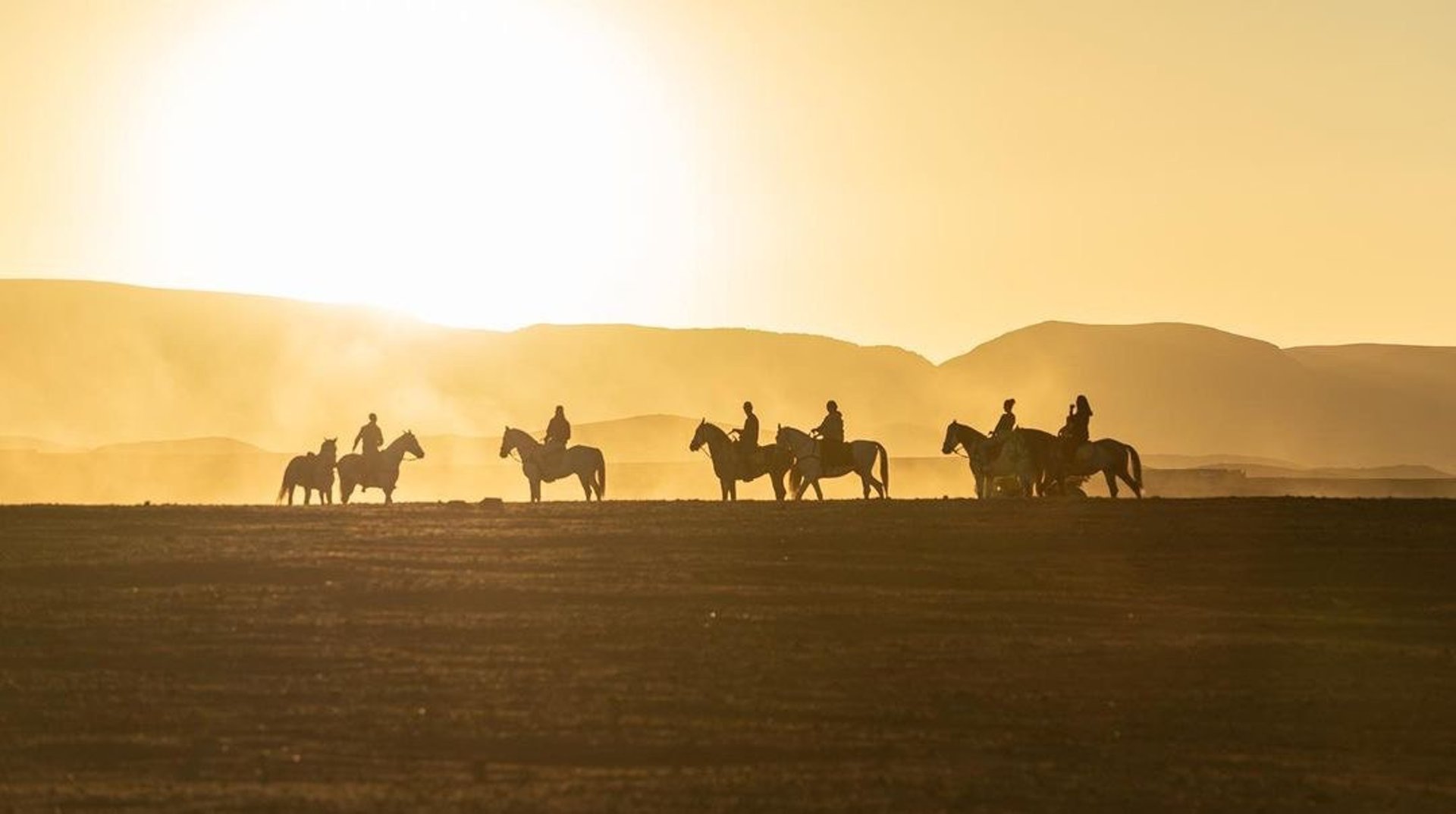 black and brown leather padded tub sofa