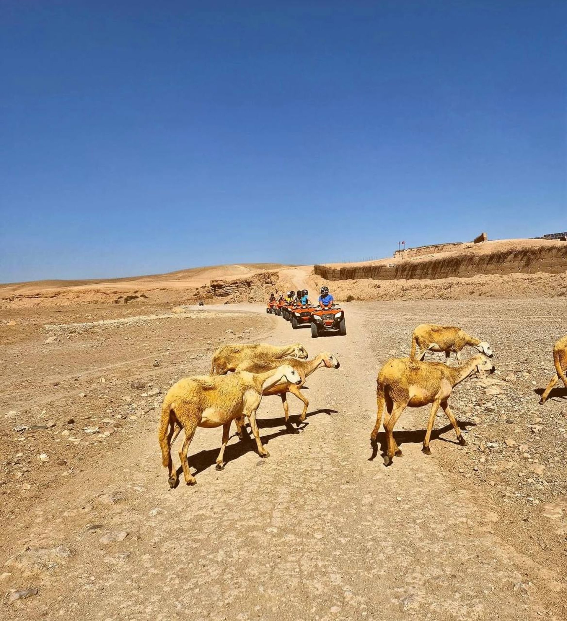 black and brown leather padded tub sofa