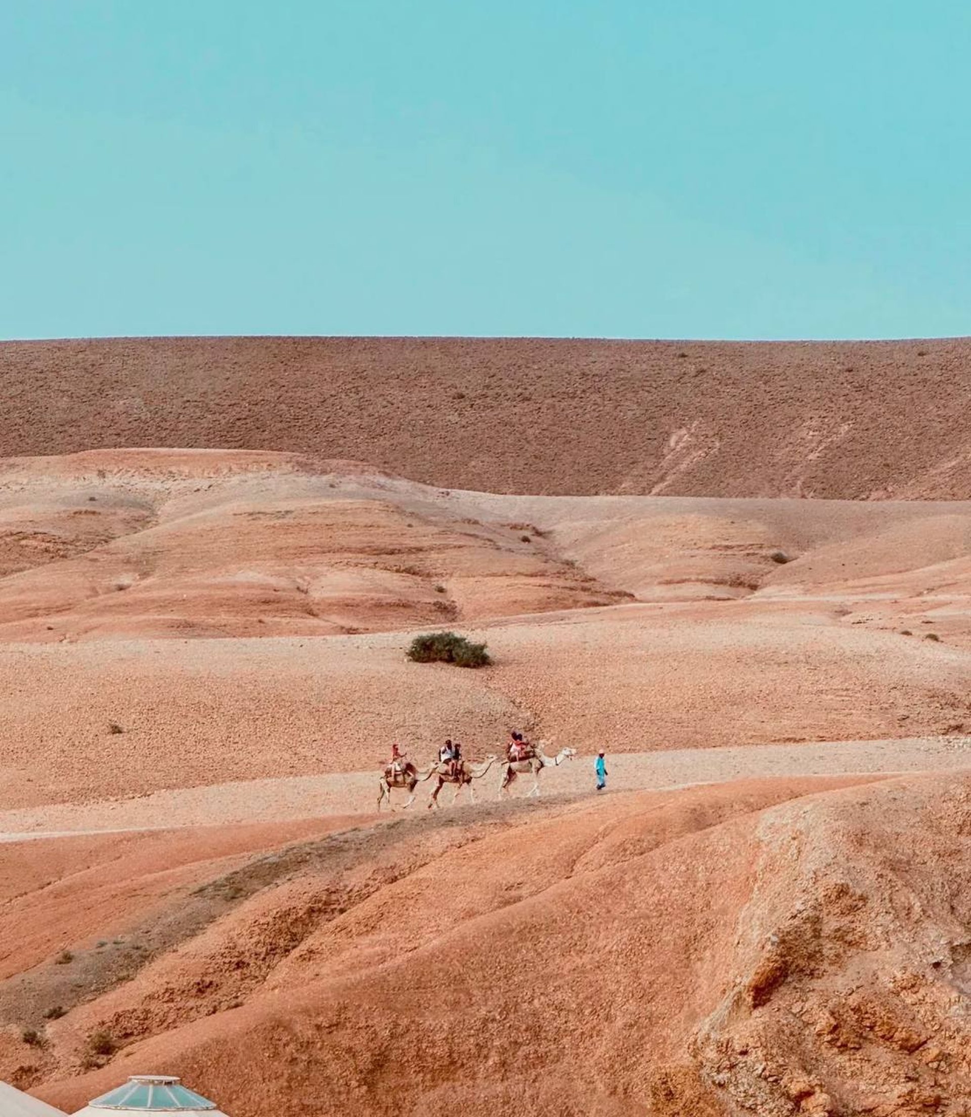 black and brown leather padded tub sofa
