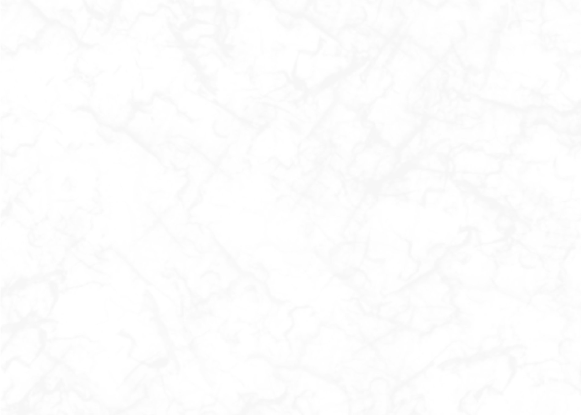 a flag flying in the wind on a cloudy day