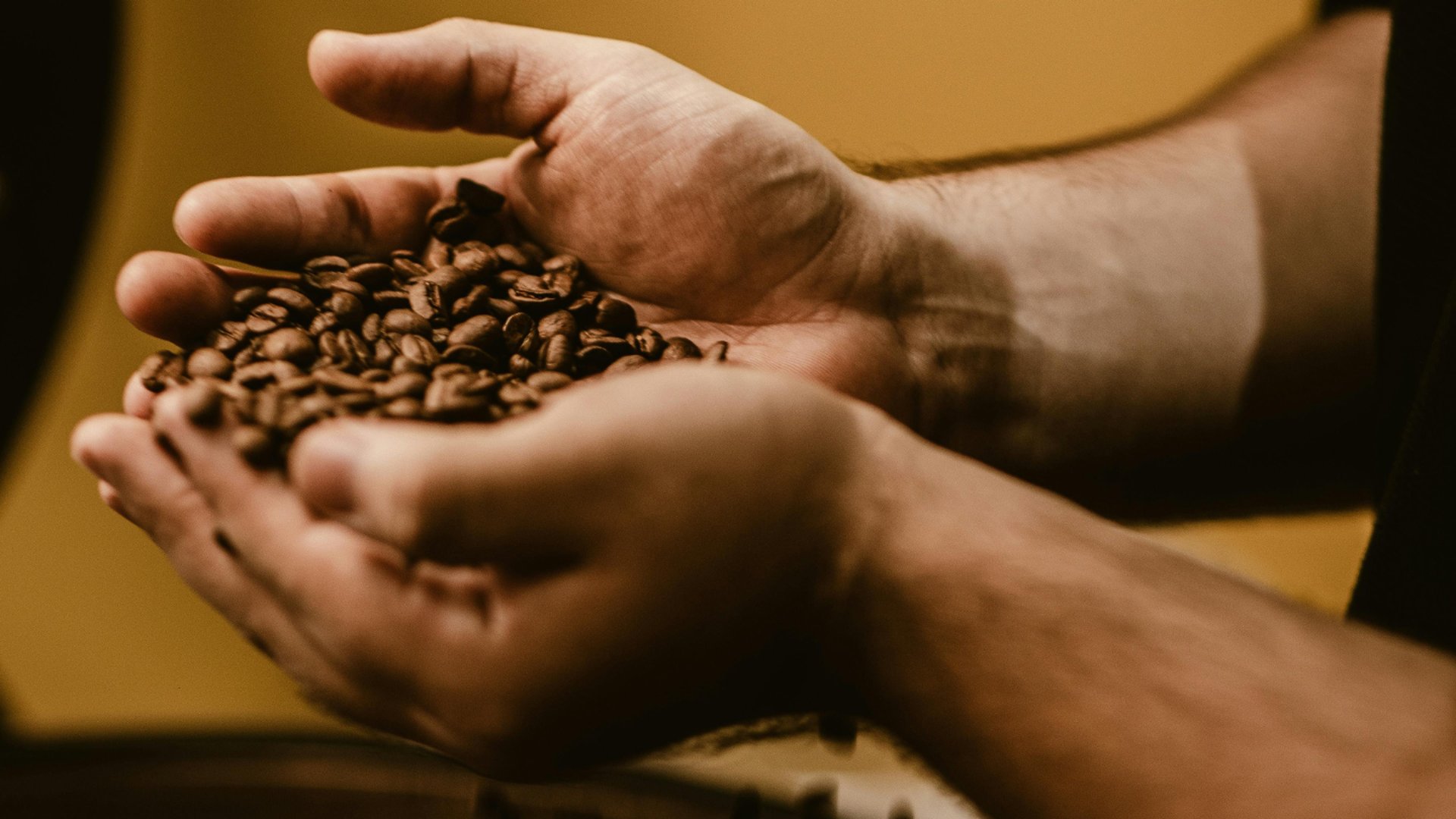 an abstract photo of a curved building with a blue sky in the background