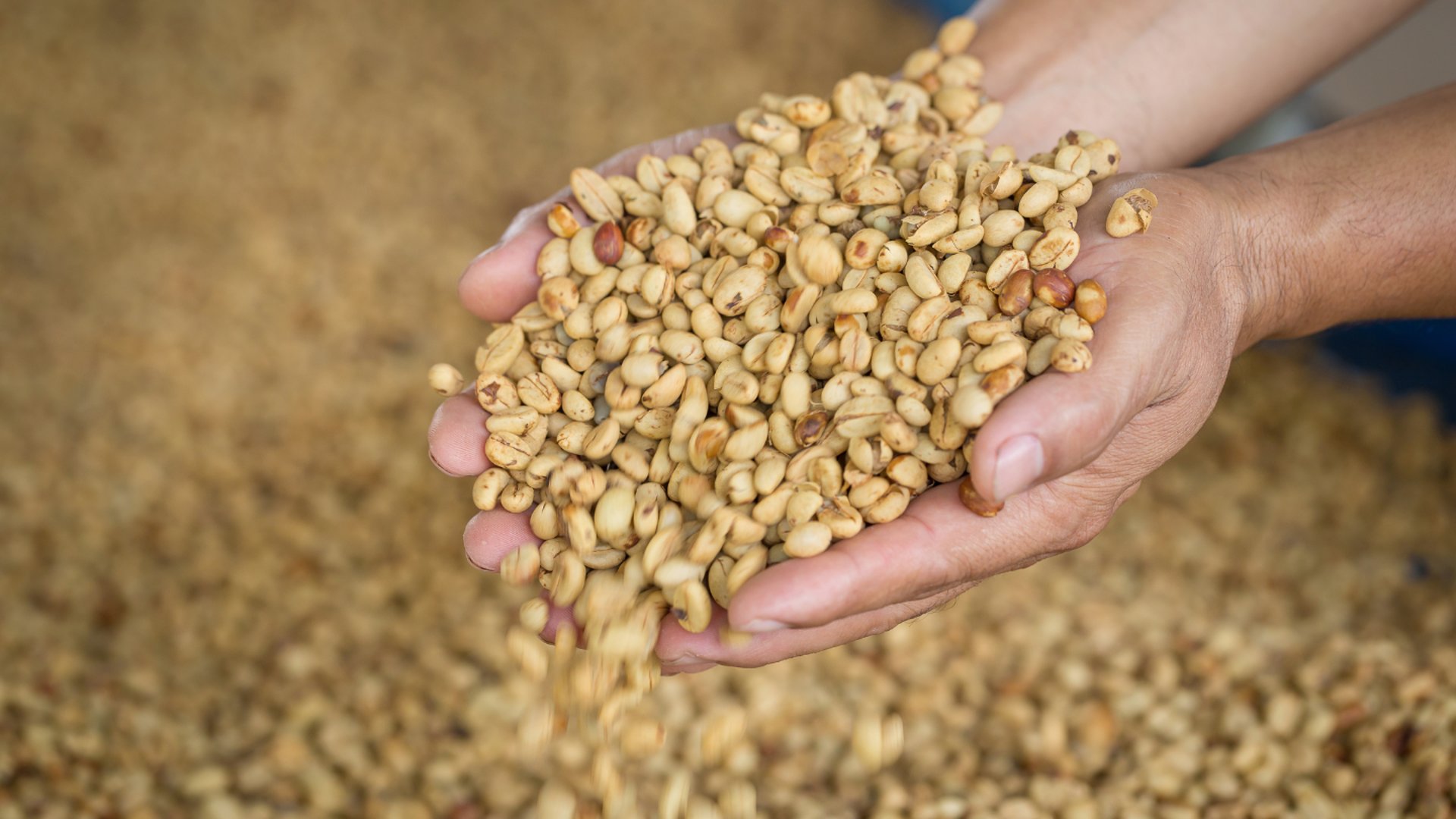 an abstract photo of a curved building with a blue sky in the background