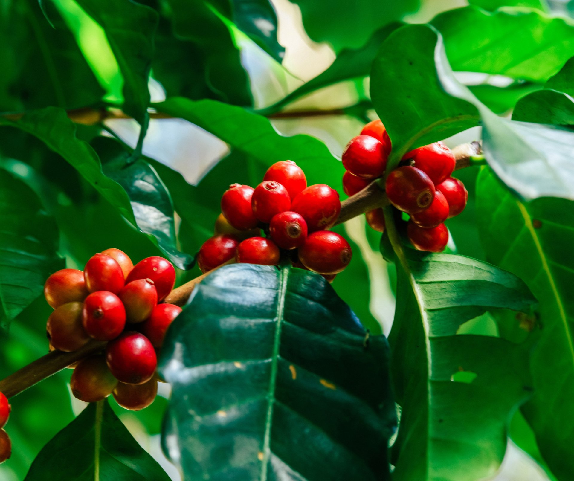 an abstract photo of a curved building with a blue sky in the background