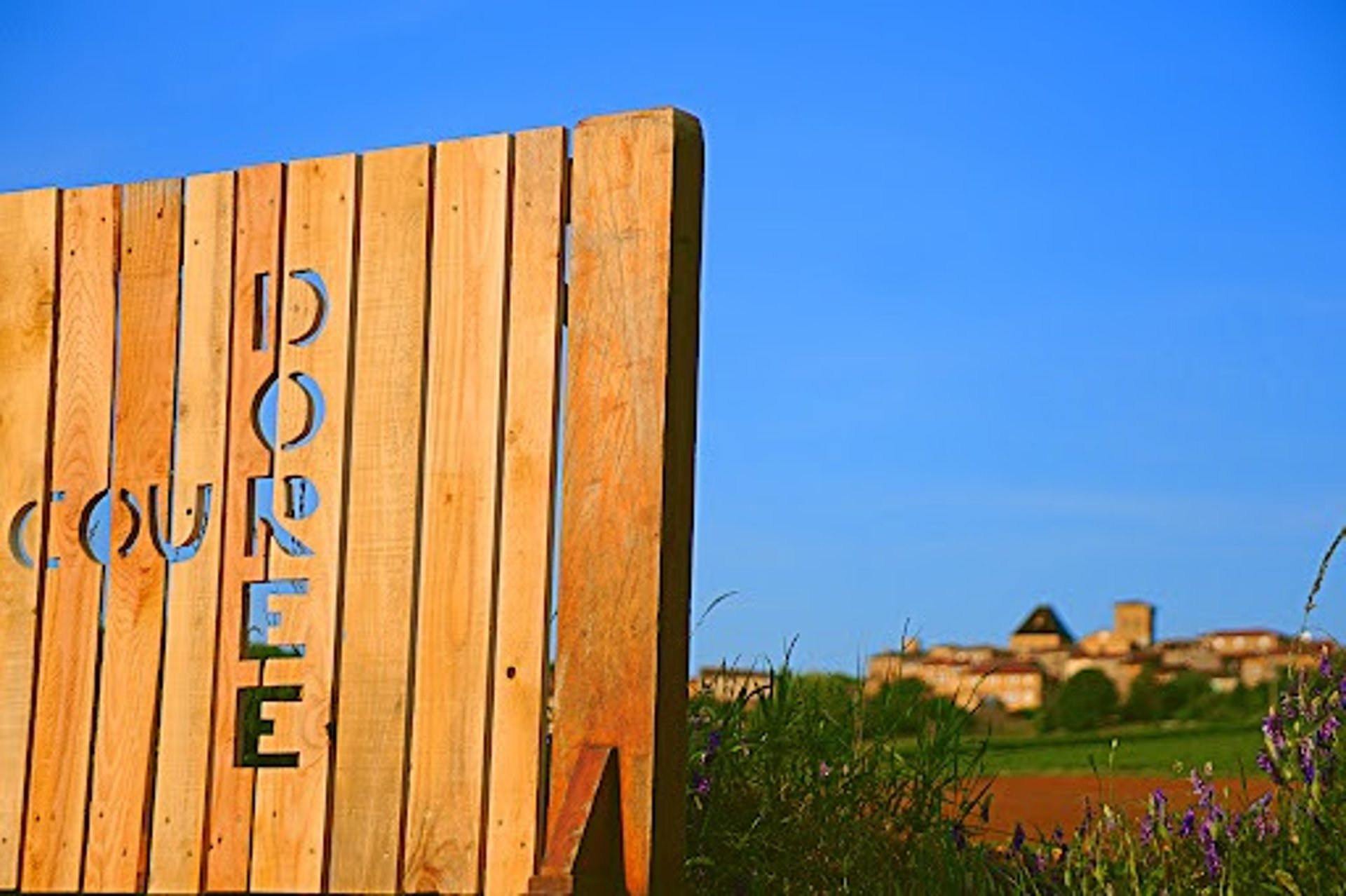 couple wearing silver-colored rings