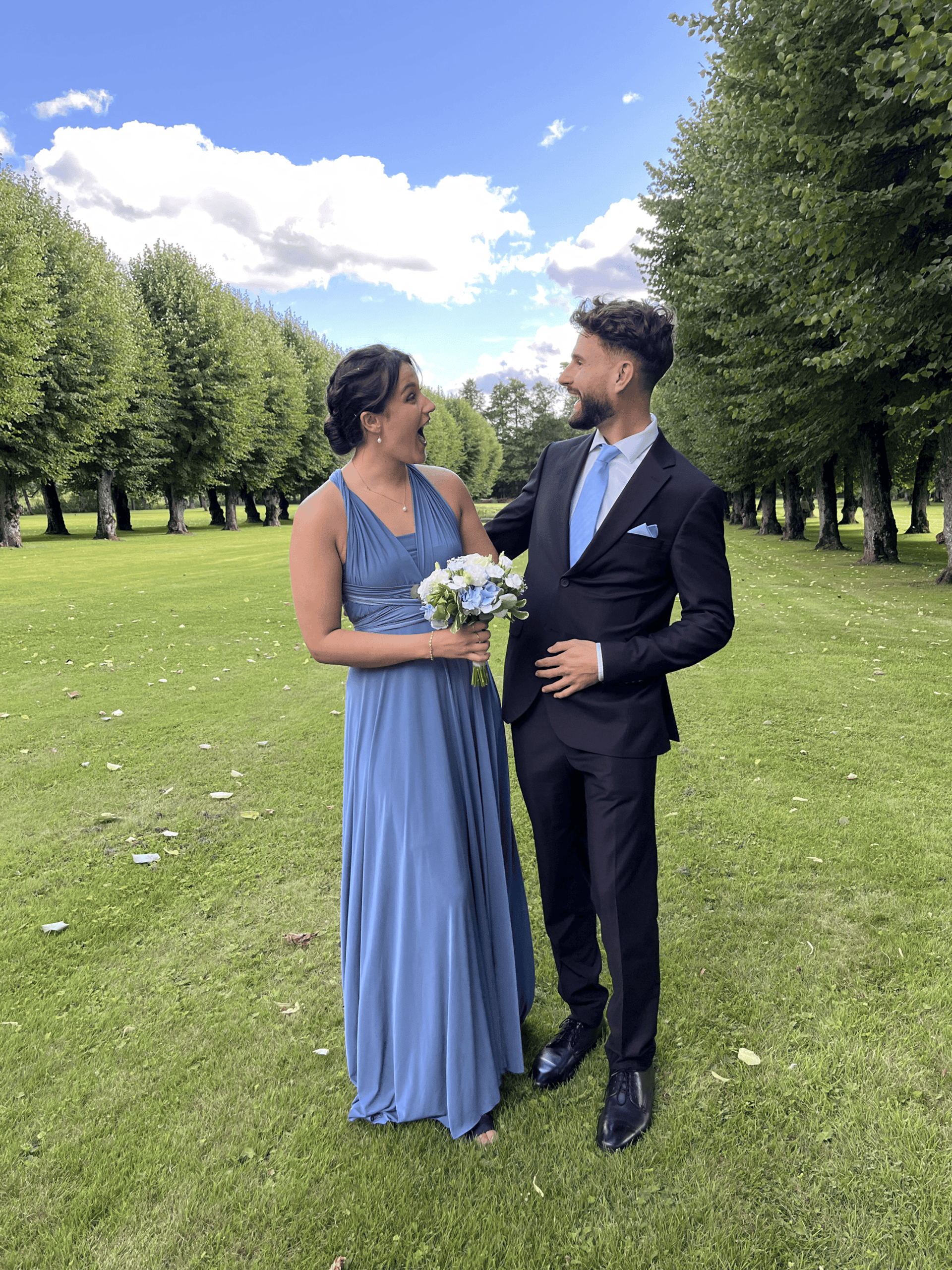 red leaf tree during daytime