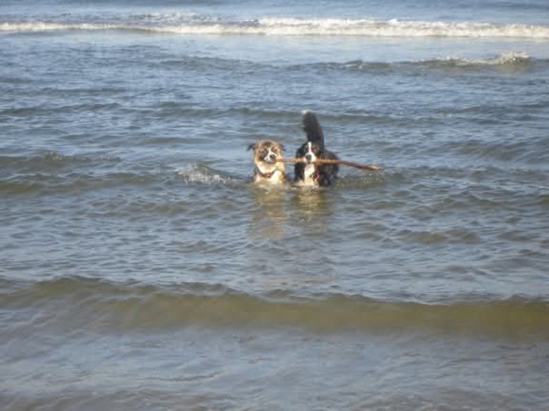 an abstract photo of a curved building with a blue sky in the background
