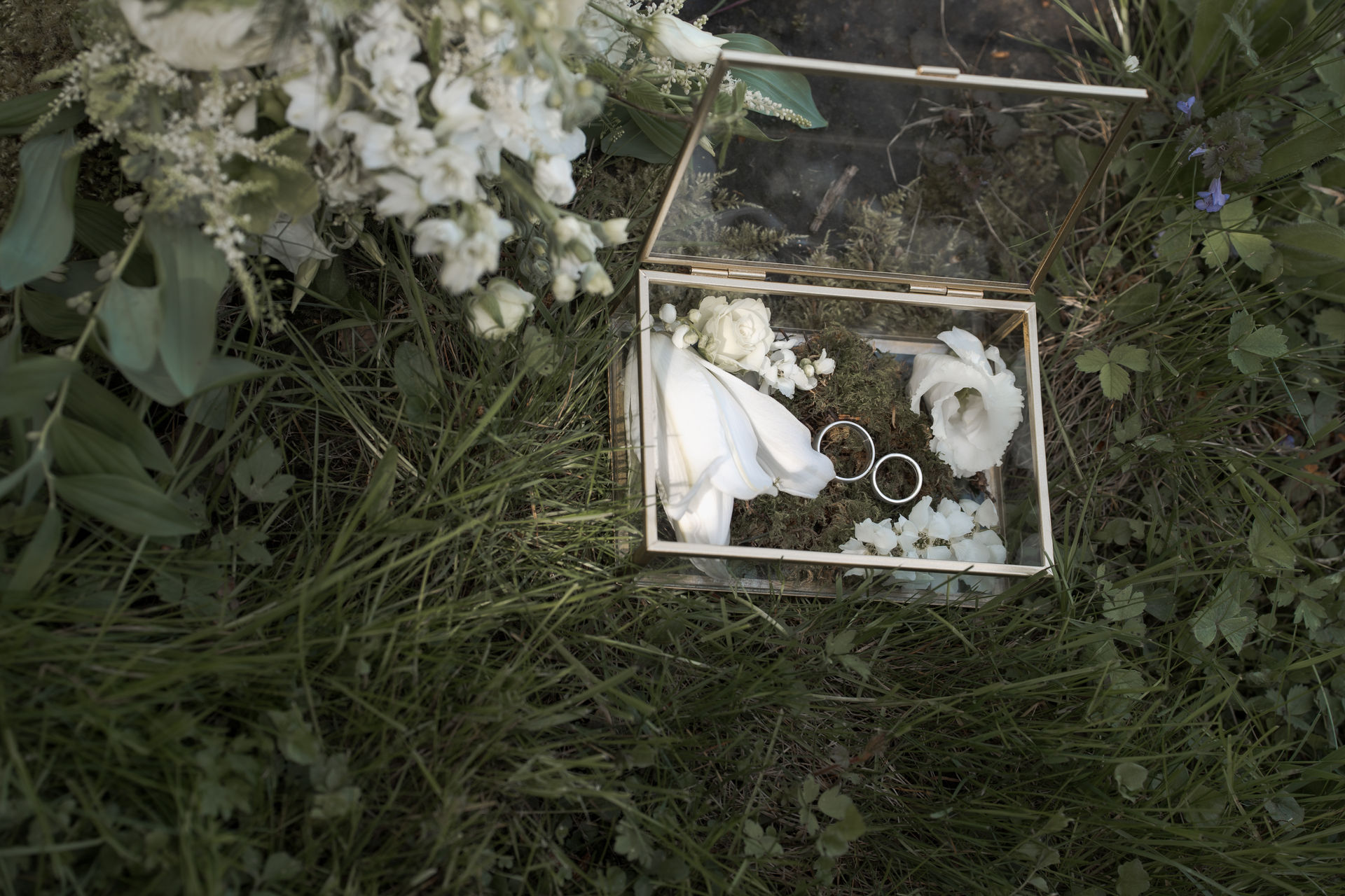 an abstract photo of a curved building with a blue sky in the background