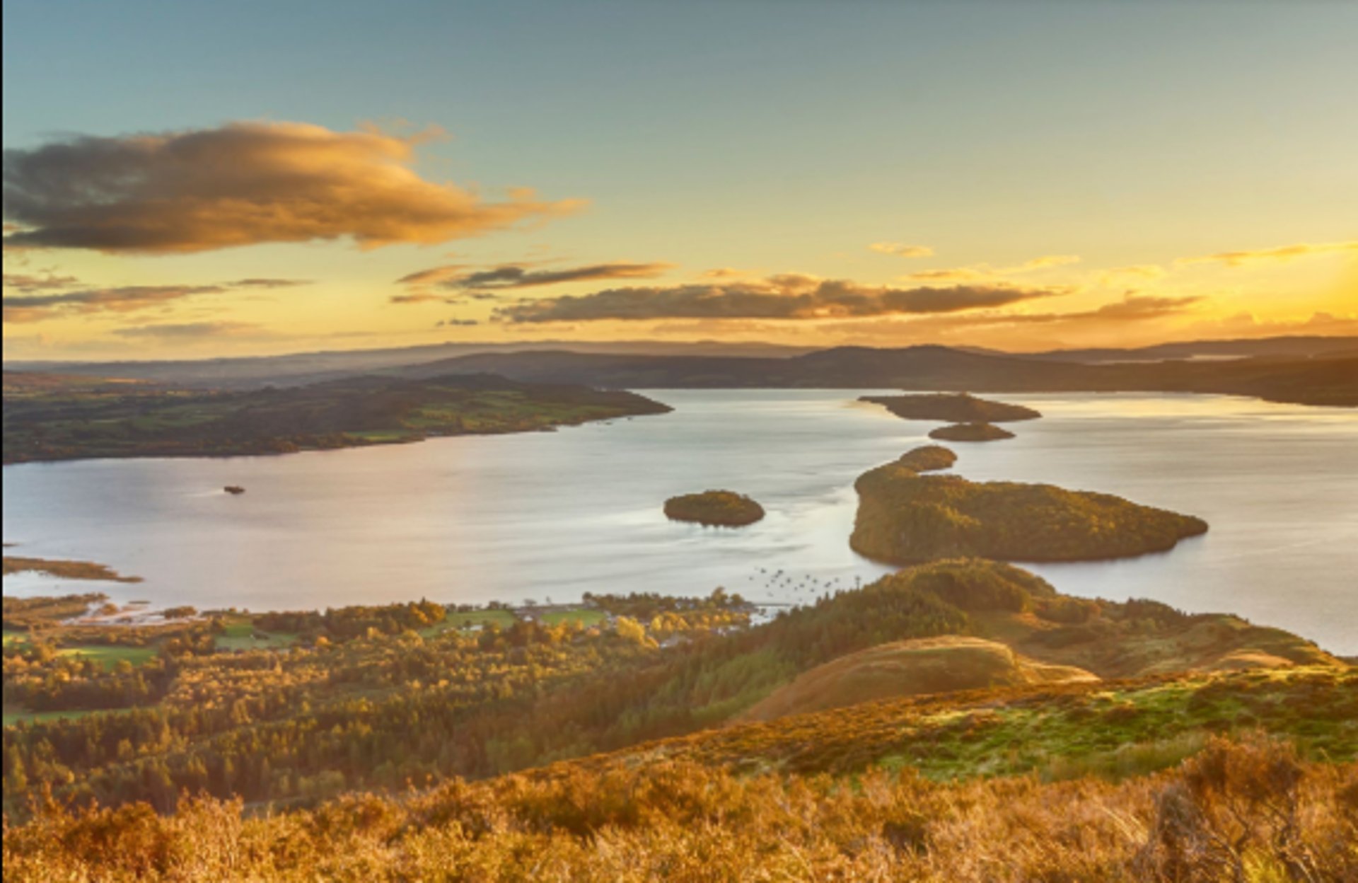 couple wearing silver-colored rings