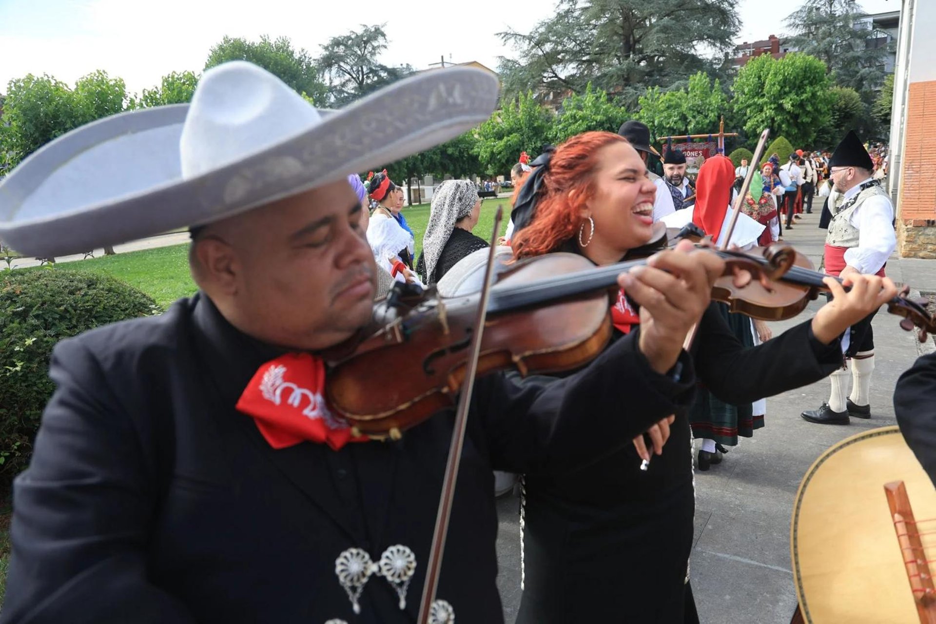 an abstract photo of a curved building with a blue sky in the background