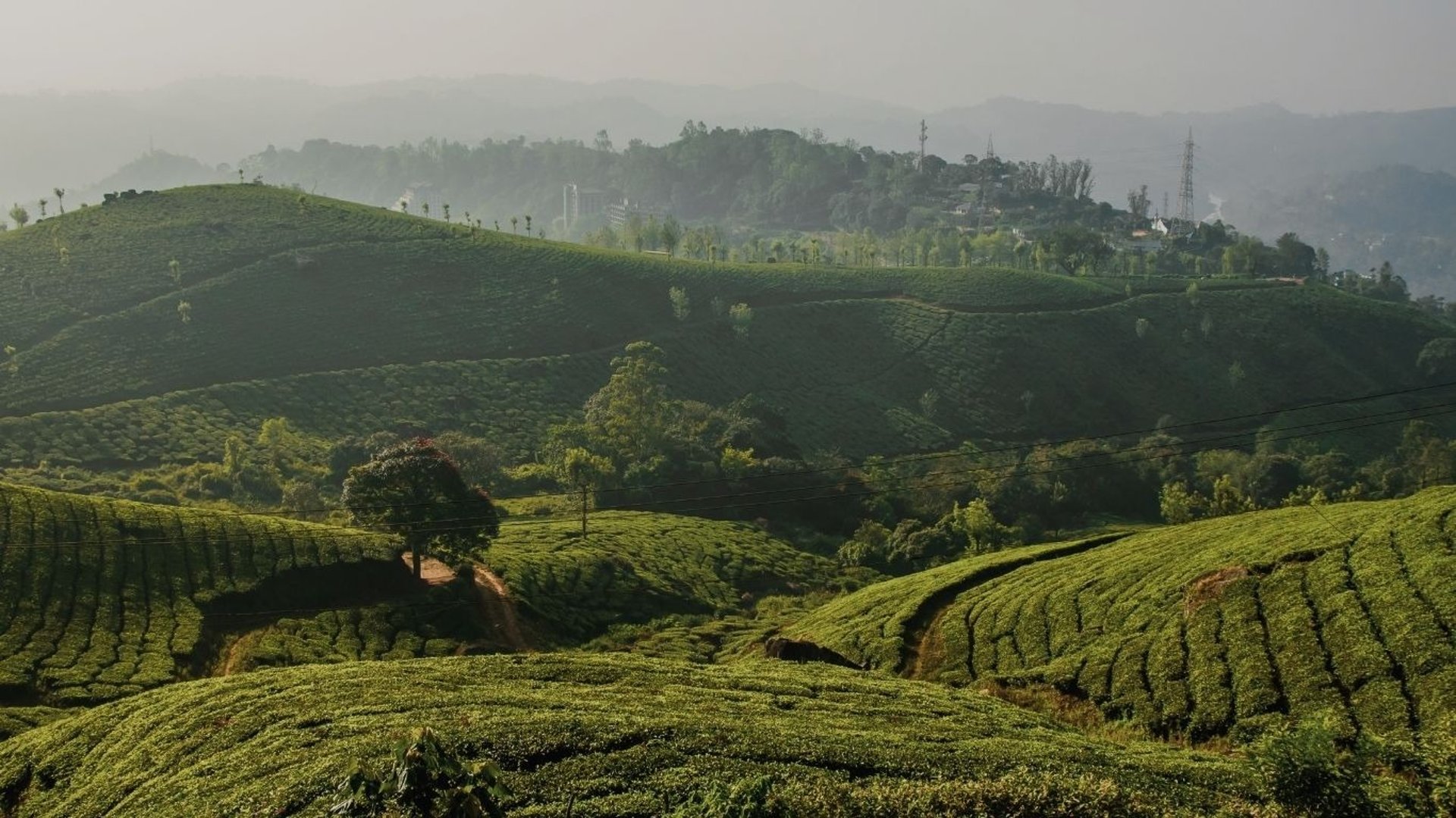 man and woman standing in front of brown concrete building during daytime
