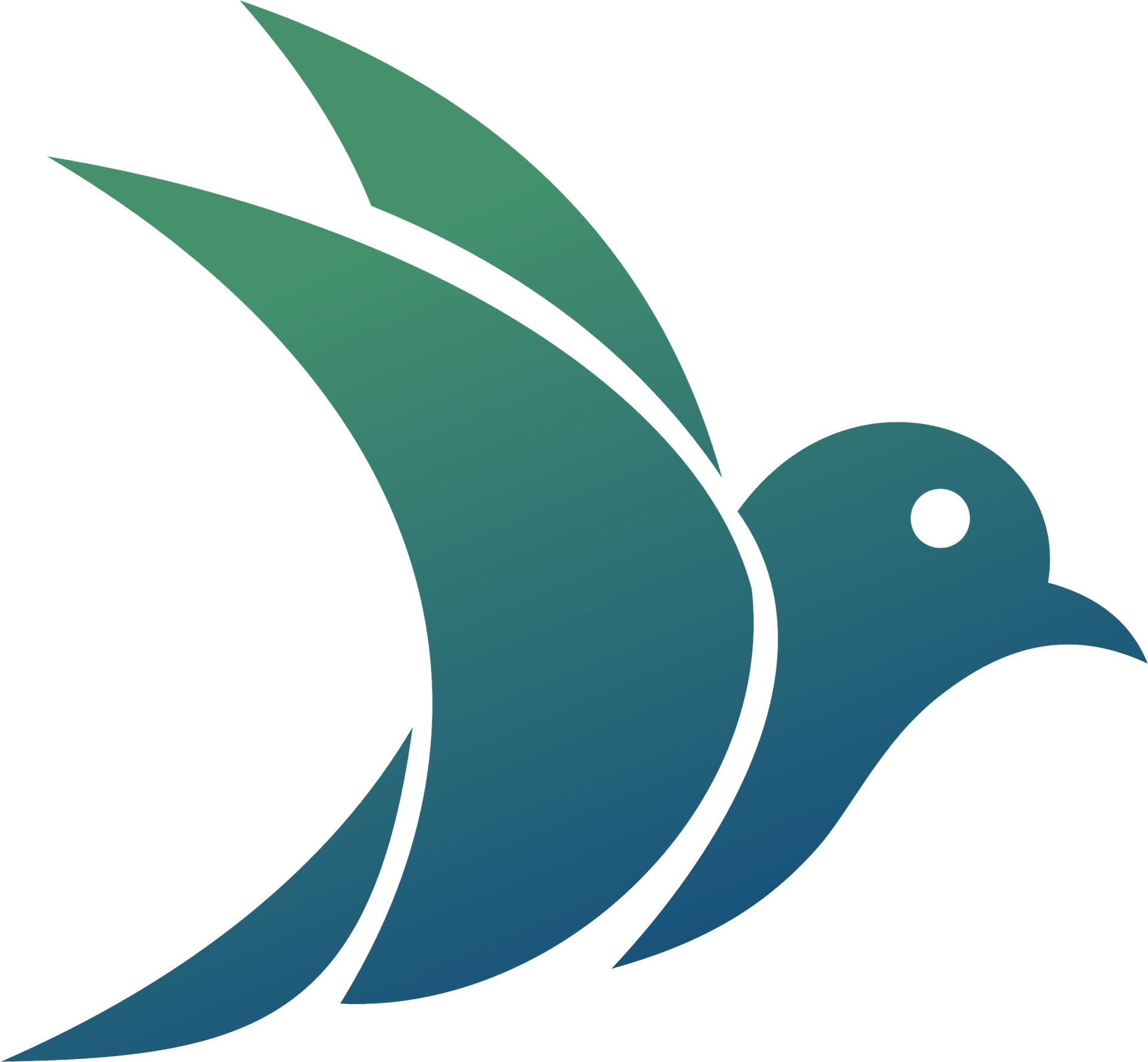 blue and white water splash