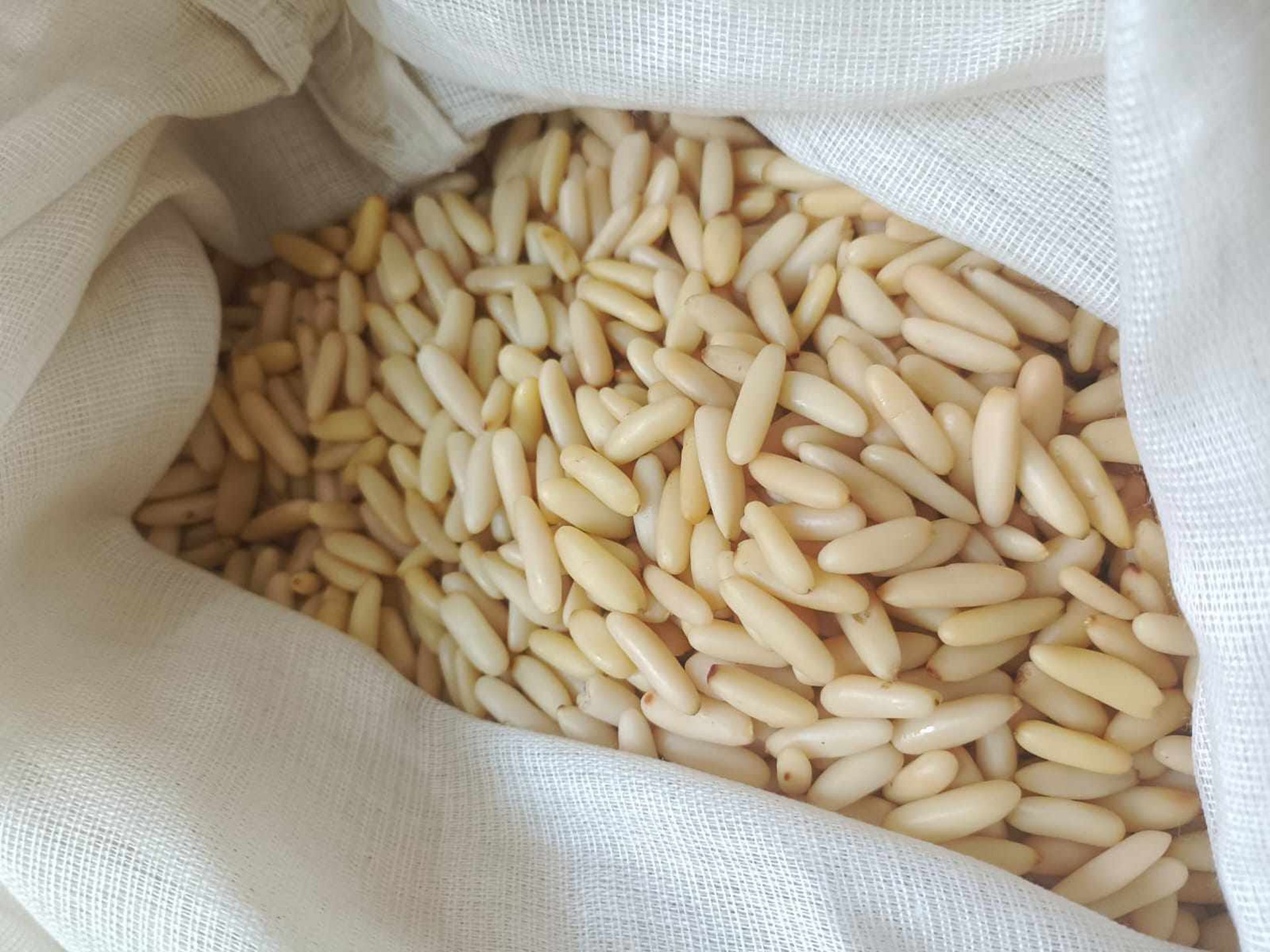 gray computer monitor