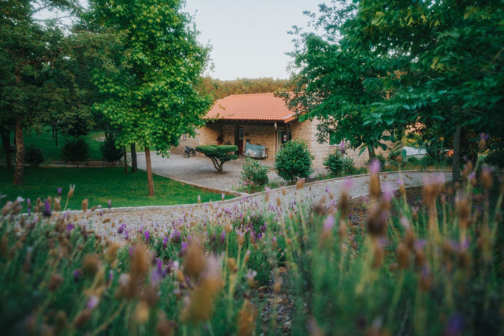 black blue and yellow textile