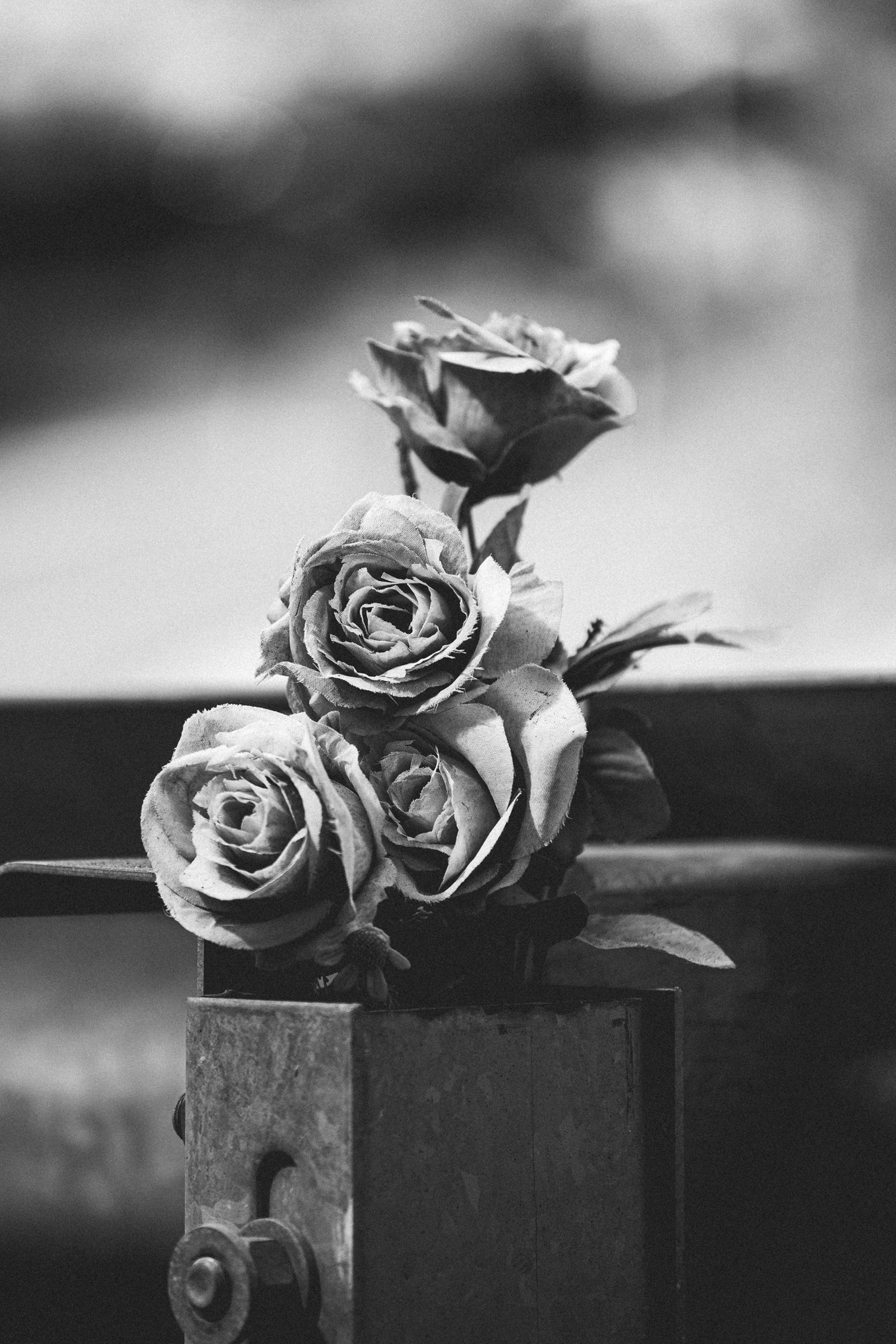 woman wearing yellow long-sleeved dress under white clouds and blue sky during daytime