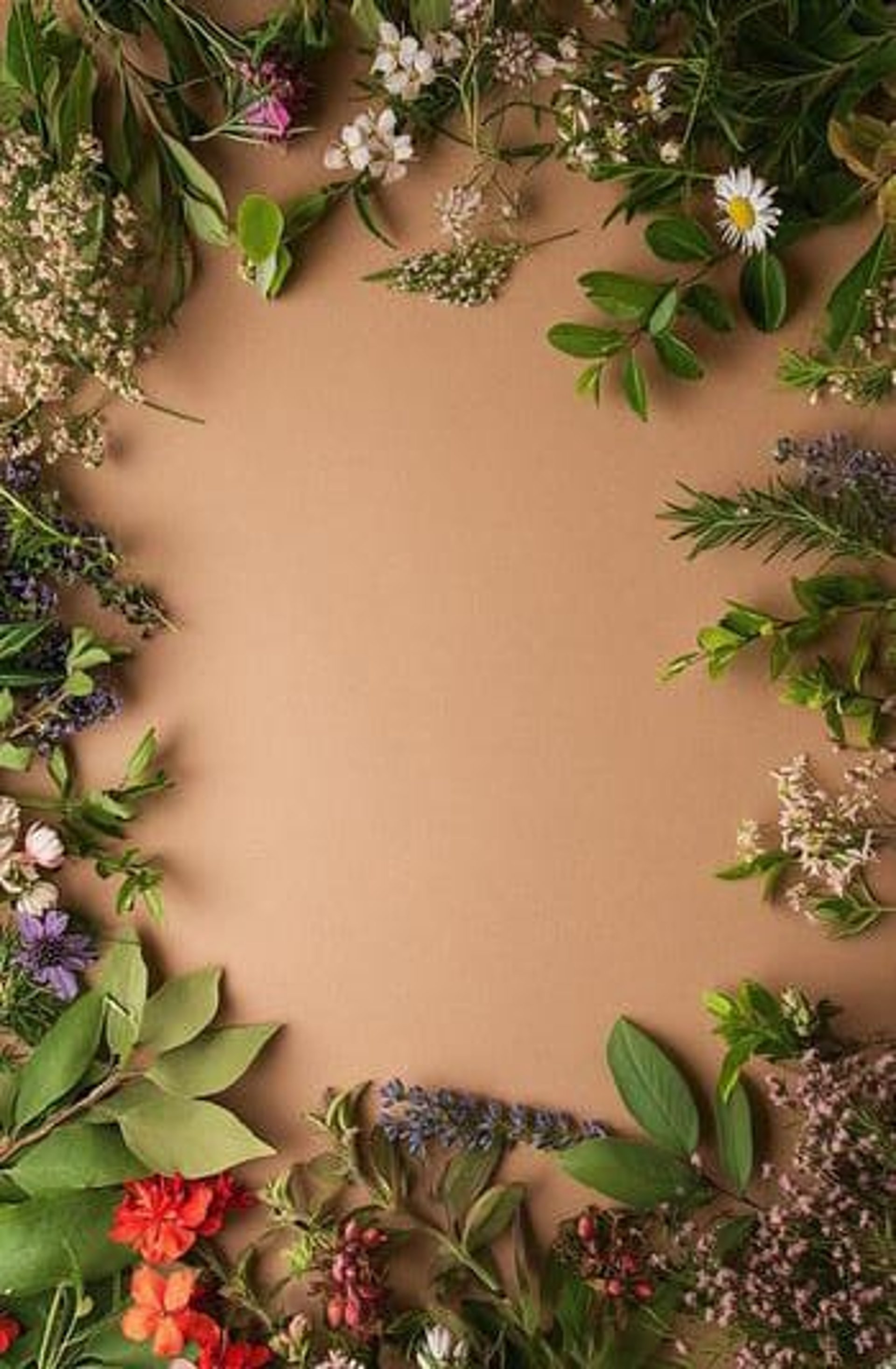 woman holding dried flower