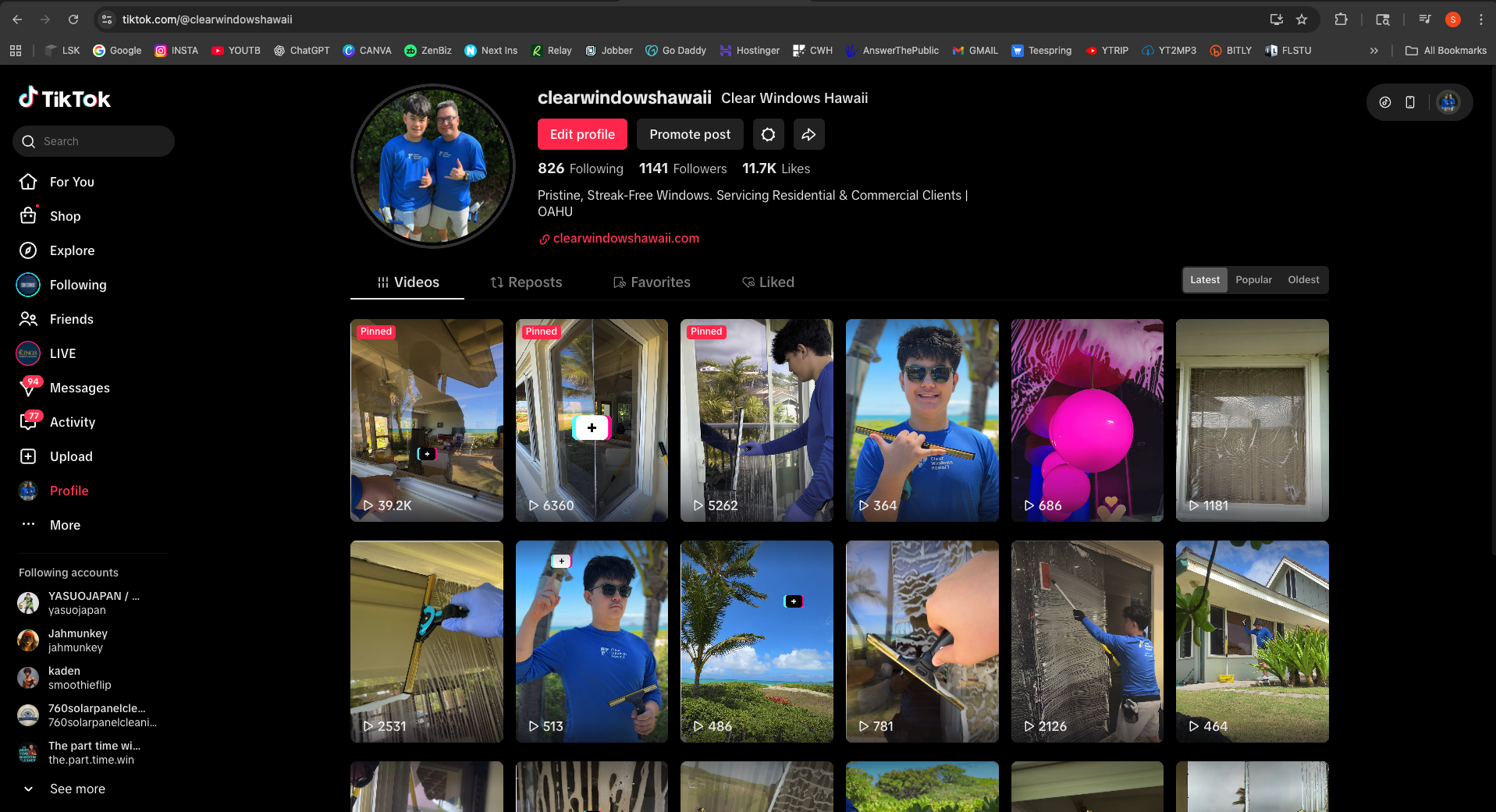 Window Cleaning TikTok