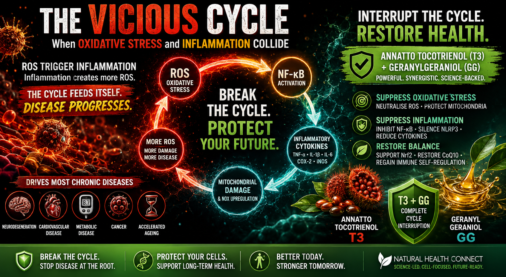 The Vicious Cycle - When Oxidative Stress and Inflammation Collide